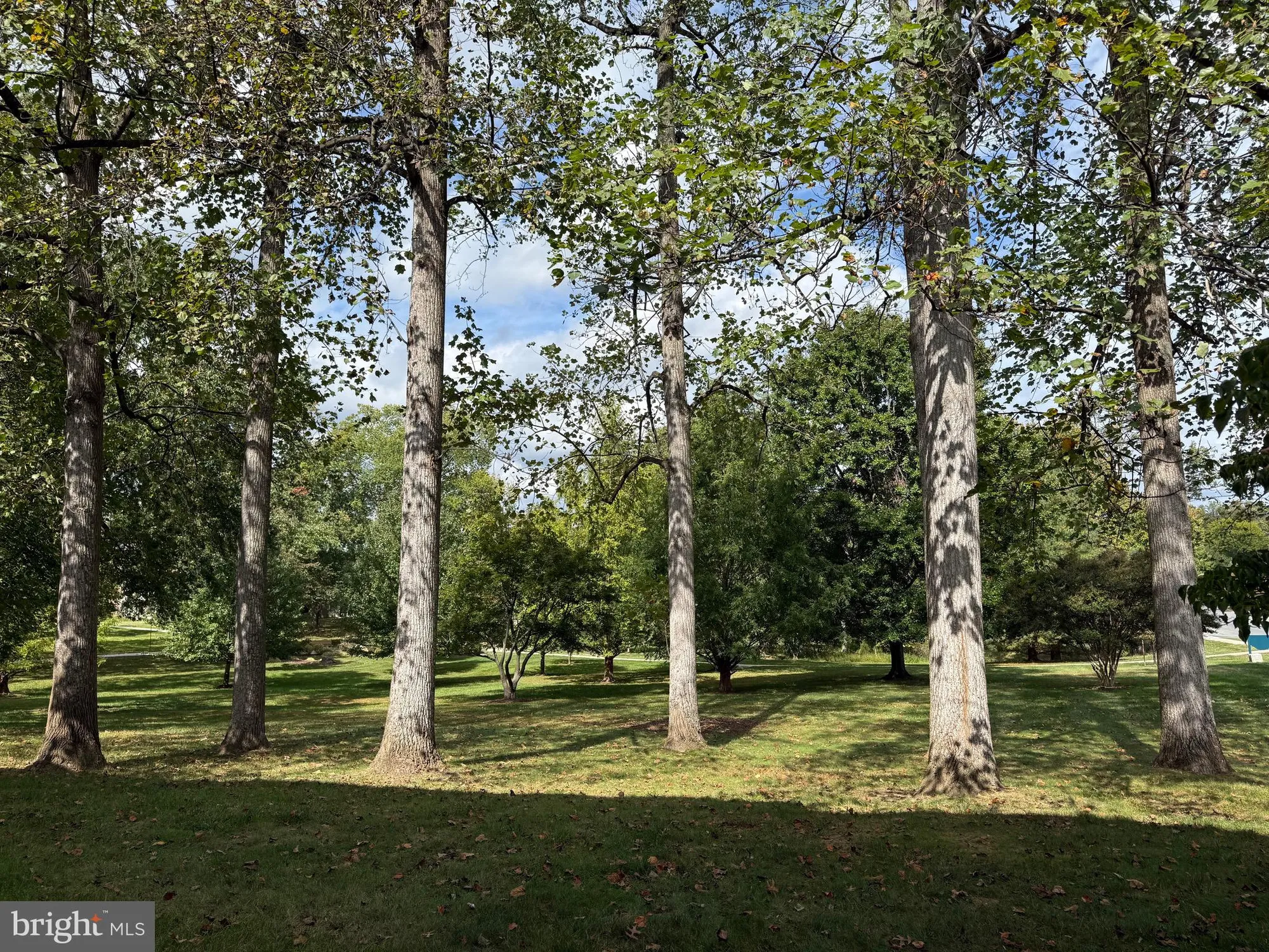 Property Slideshow image 8 of 25 | 3301 s leisure world blvd 99-1h, Silver Spring, MD, 20906