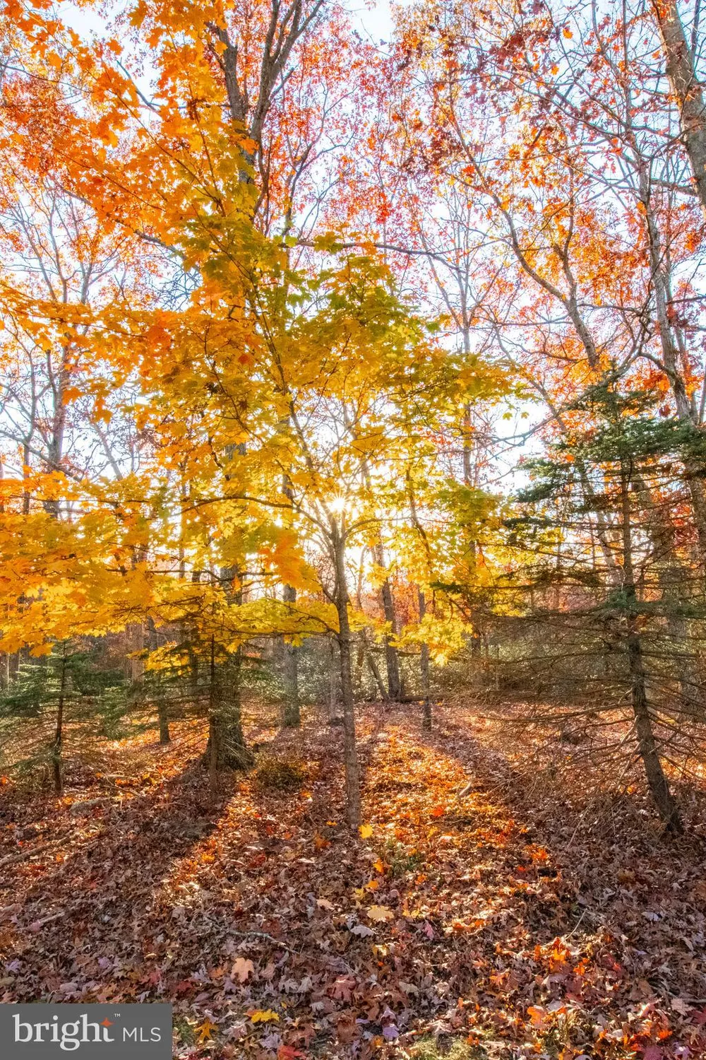 Property Slideshow image 23 of 23 | 519 petunia ln n # la # n, Whiting, NJ, 08759