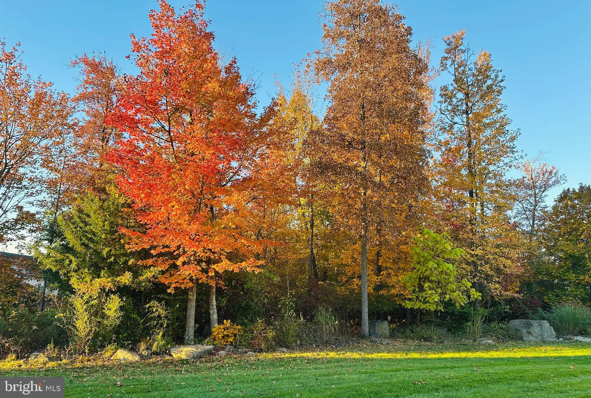 Property Slideshow image 39 of 65 | 9 bellingham dr, Kendall Park, NJ, 08824