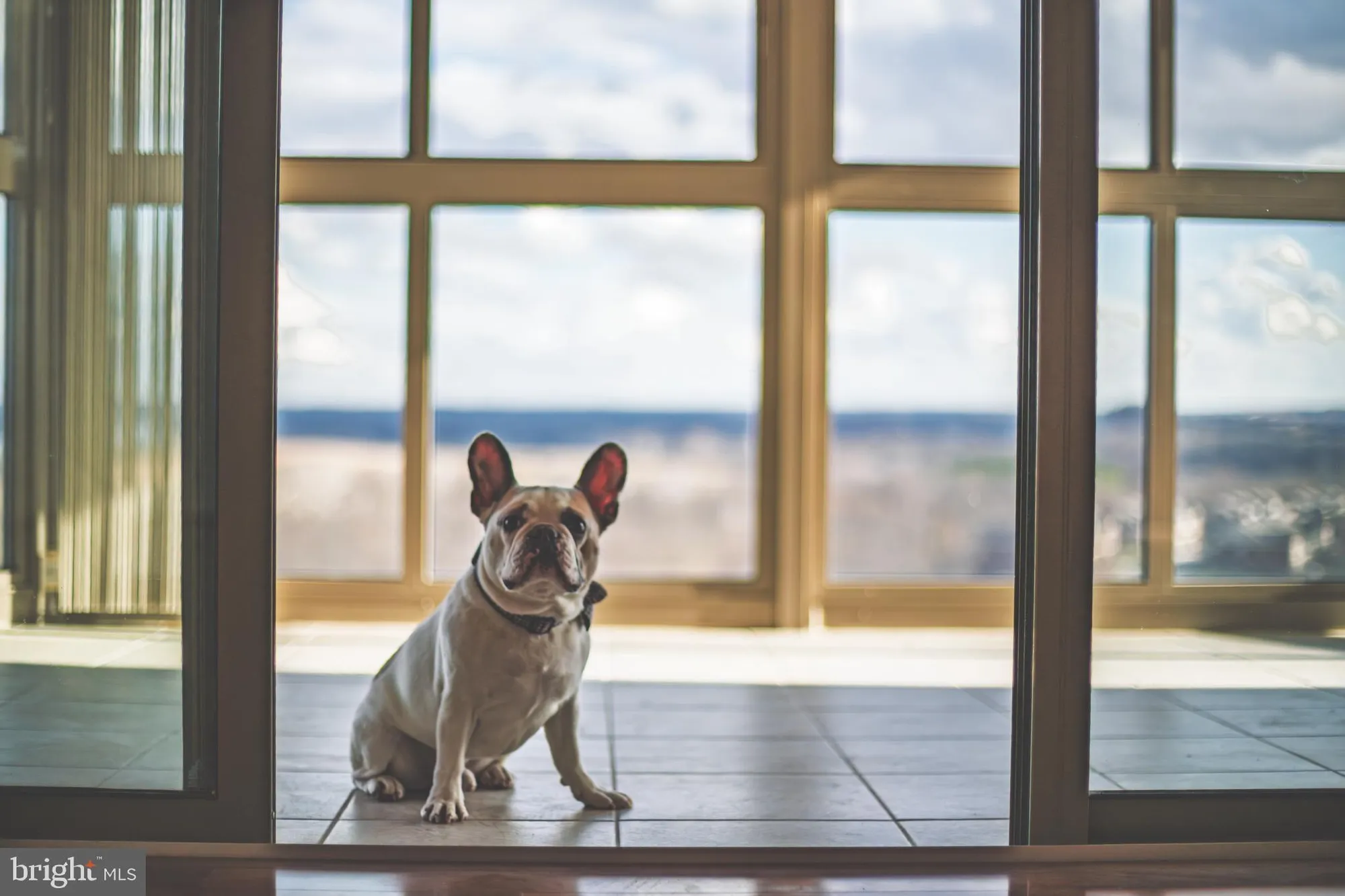 Property Slideshow image 87 of 88 | 19355 cypress ridge ter 1006, Leesburg, VA, 20176