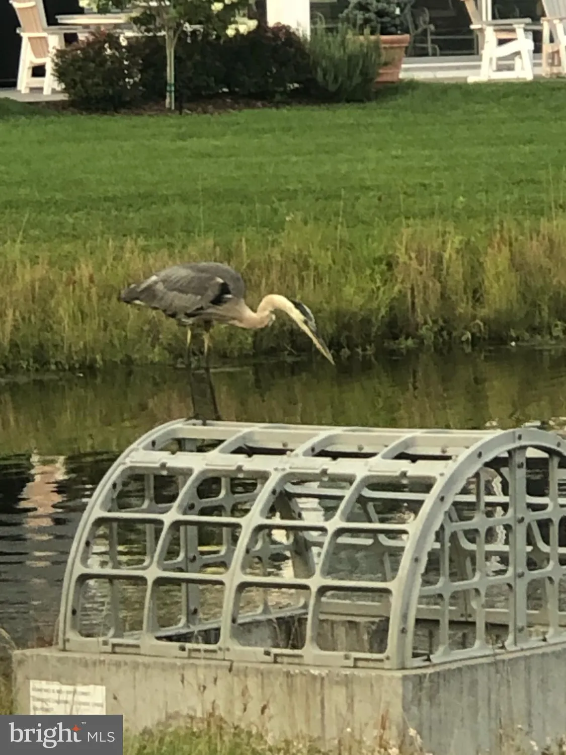 Property Slideshow image 58 of 66 | 17010 bellevue ct, Millville, DE, 19967