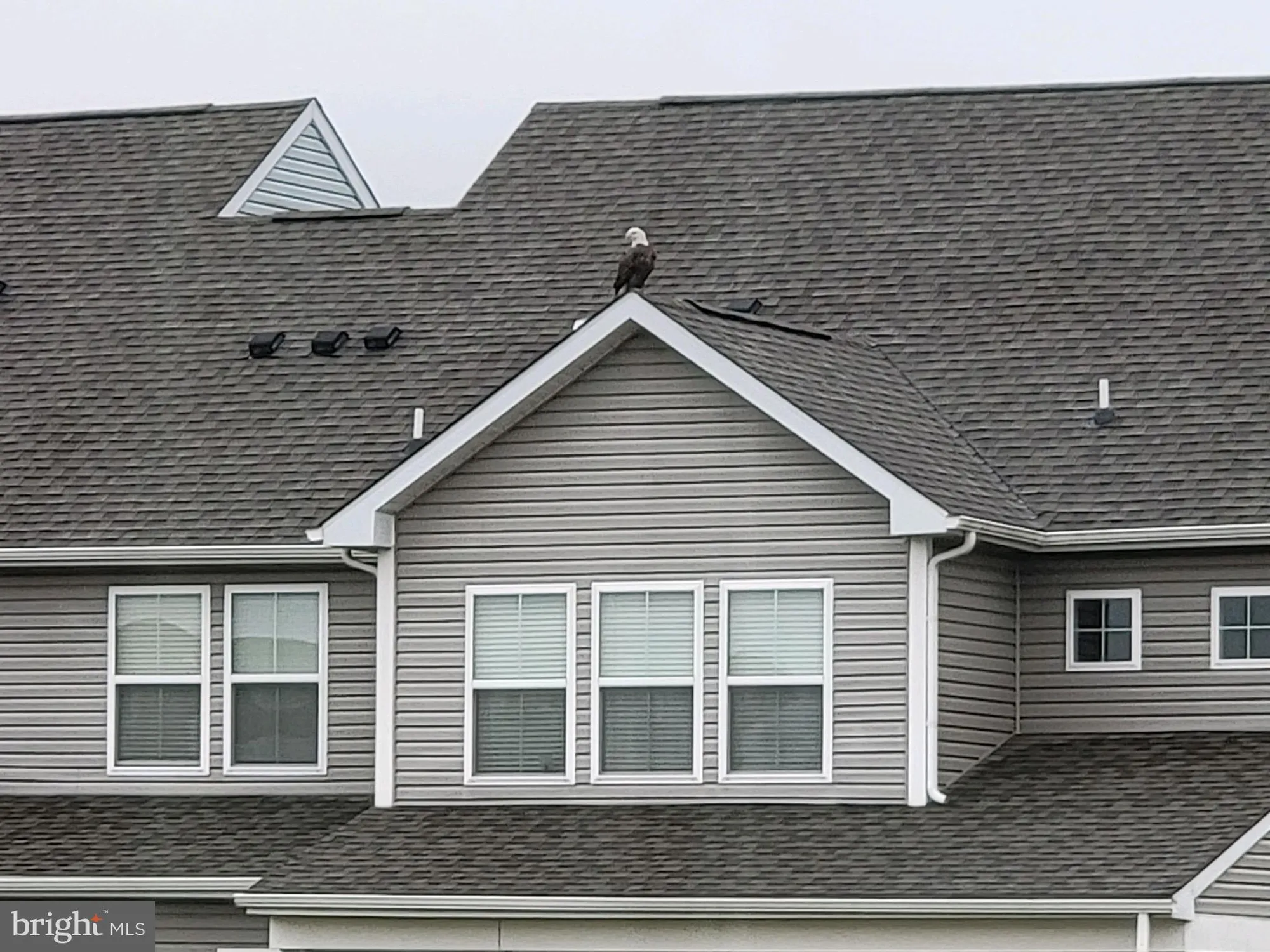 Property Slideshow image 60 of 66 | 17010 bellevue ct, Millville, DE, 19967