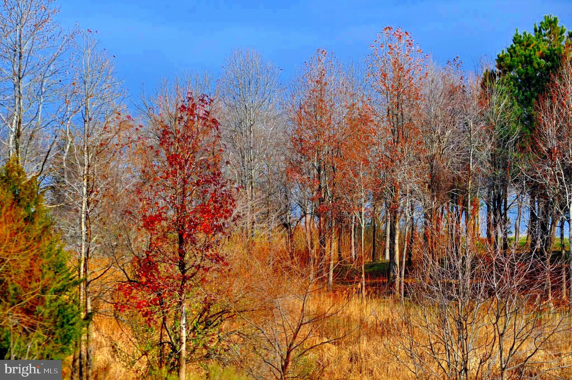 Property Slideshow image 79 of 79 | 170 harrier way unit 22, Chester, MD, 21619
