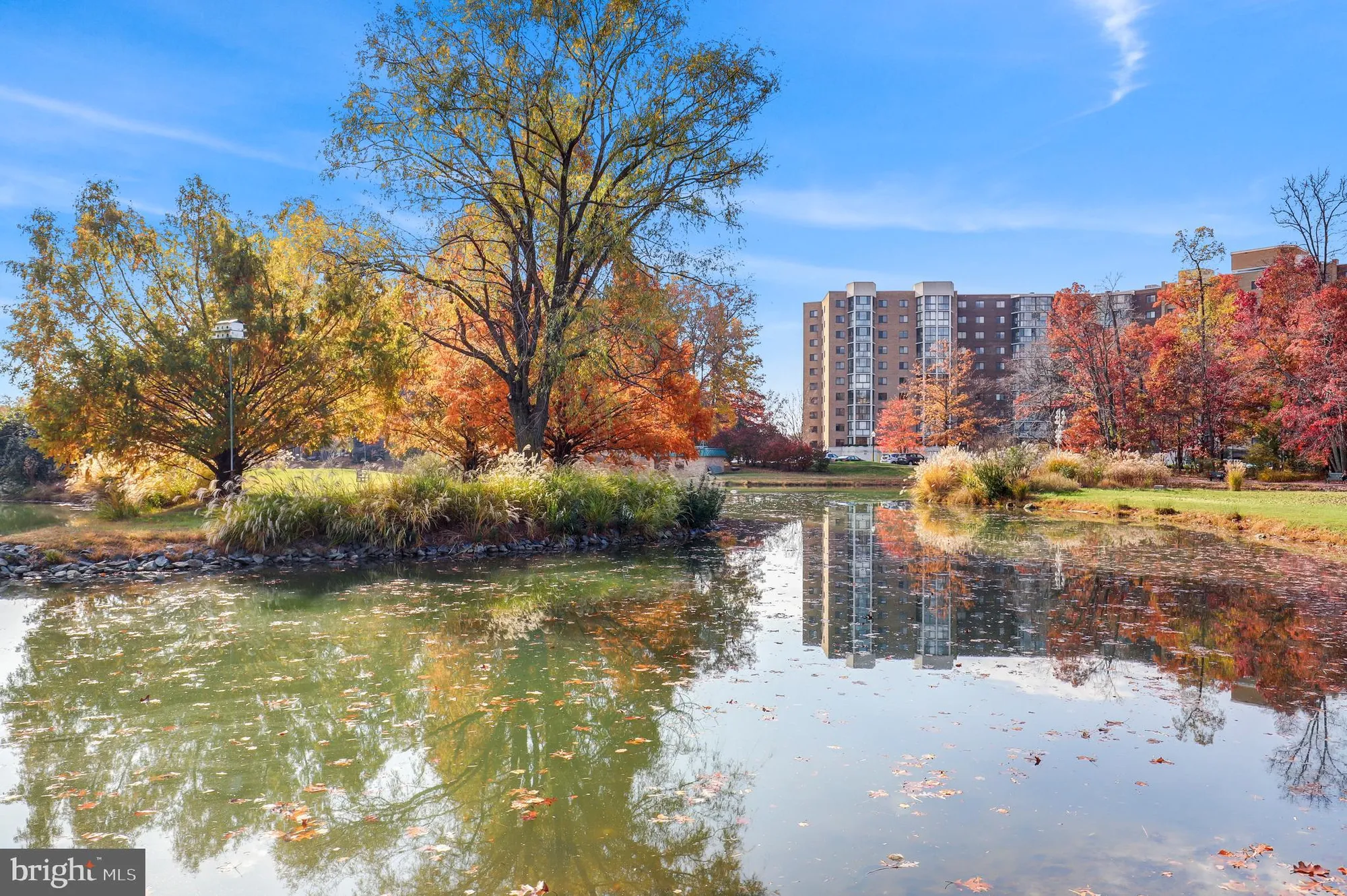 Property Slideshow image 44 of 44 | 15101 interlachen dr 1-416, Silver Spring, MD, 20906