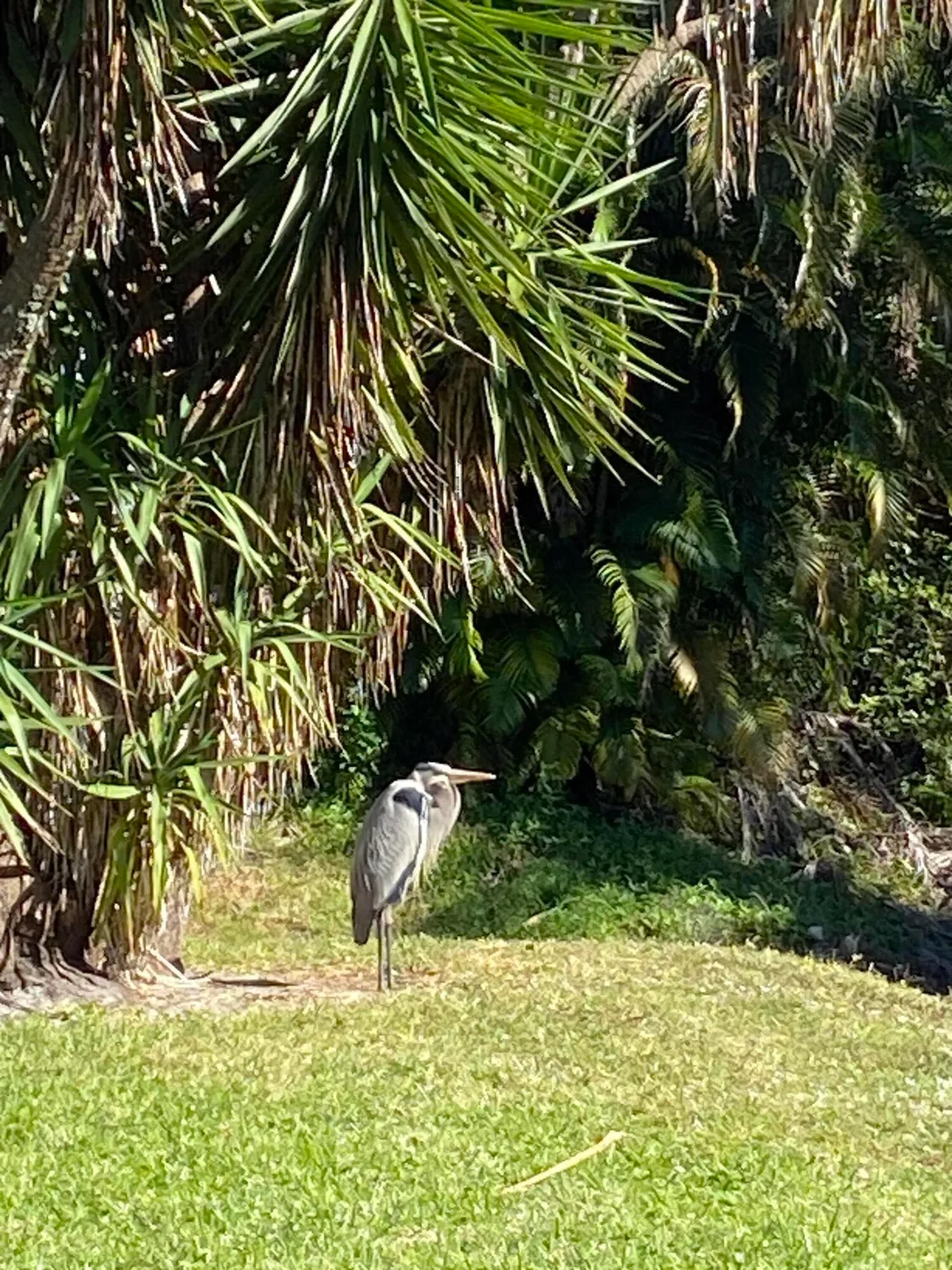 Property Slideshow image 8 of 27 | 310 wellington m, West Palm Beach, FL, 33417