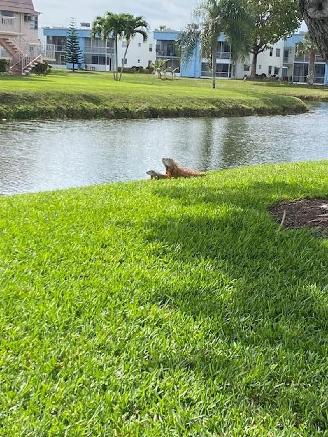 Property Slideshow image 2 of 26 | 349 flanders h, Delray Beach, FL, 33484