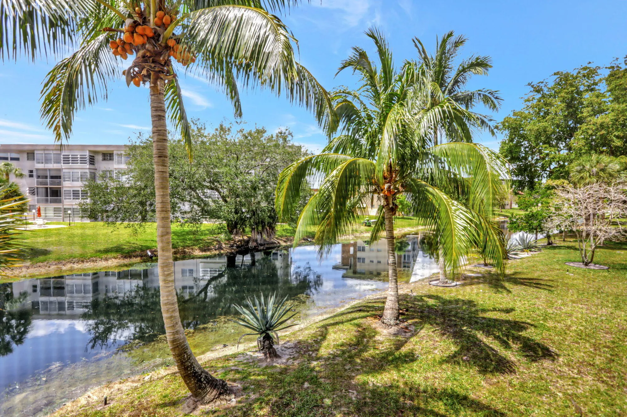 Property Slideshow image 30 of 61 | 2951 nw 46th ave 201, Lauderdale Lakes, FL, 33313