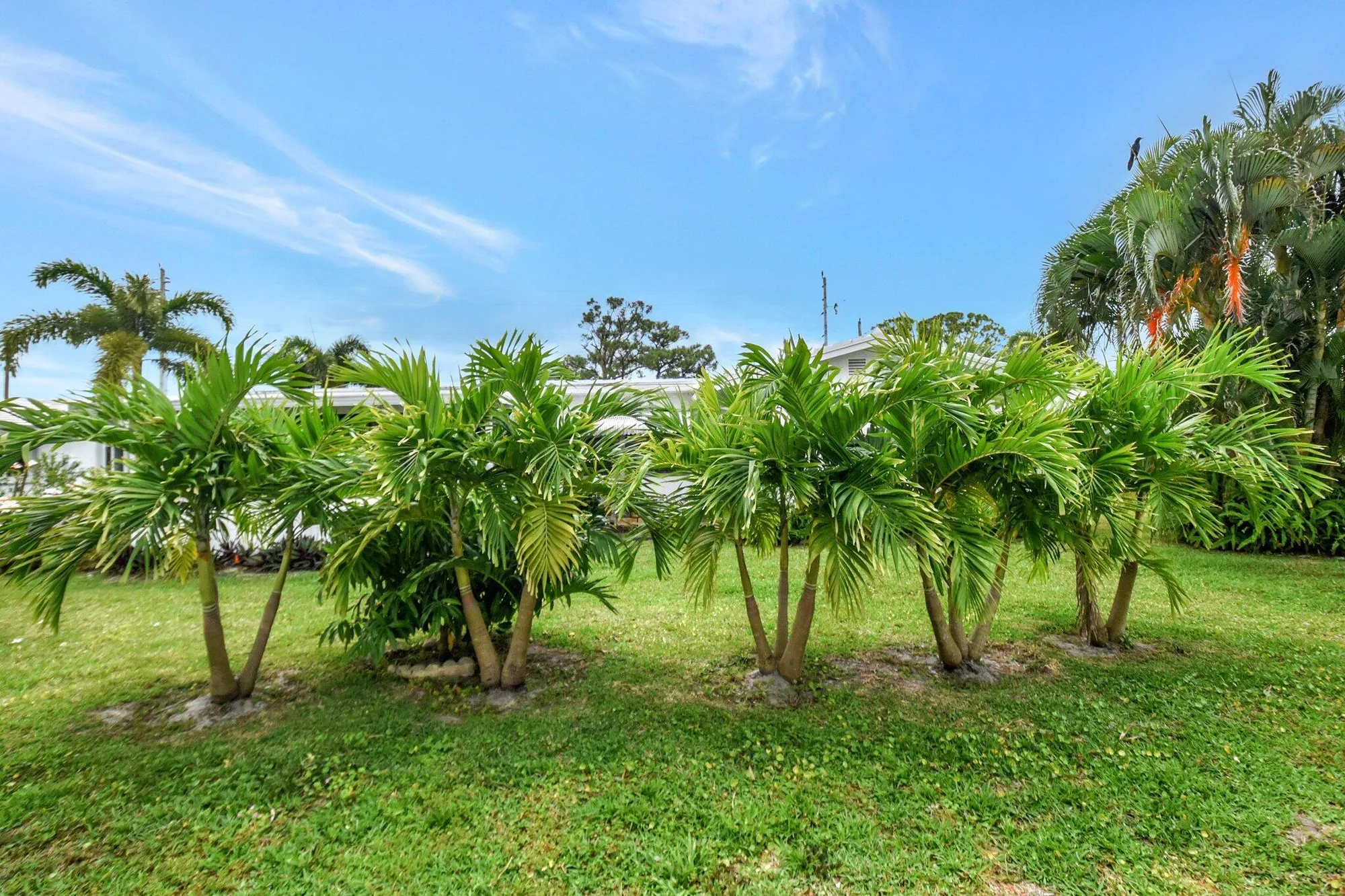 Property Slideshow image 32 of 48 | 1902 sw 22nd ave, Boynton Beach, FL, 33426