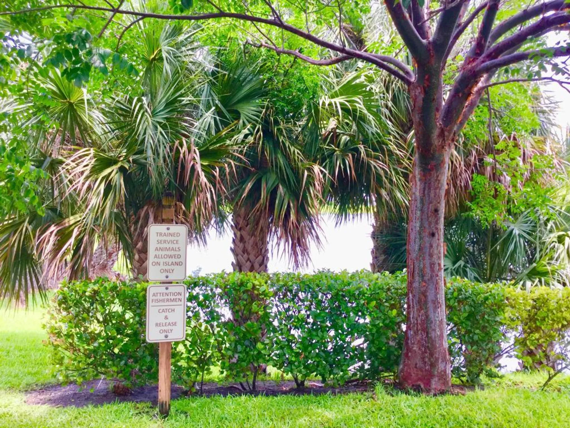 Property Slideshow image 71 of 84 | 107 sheffield e unit e, West Palm Beach, FL, 33417