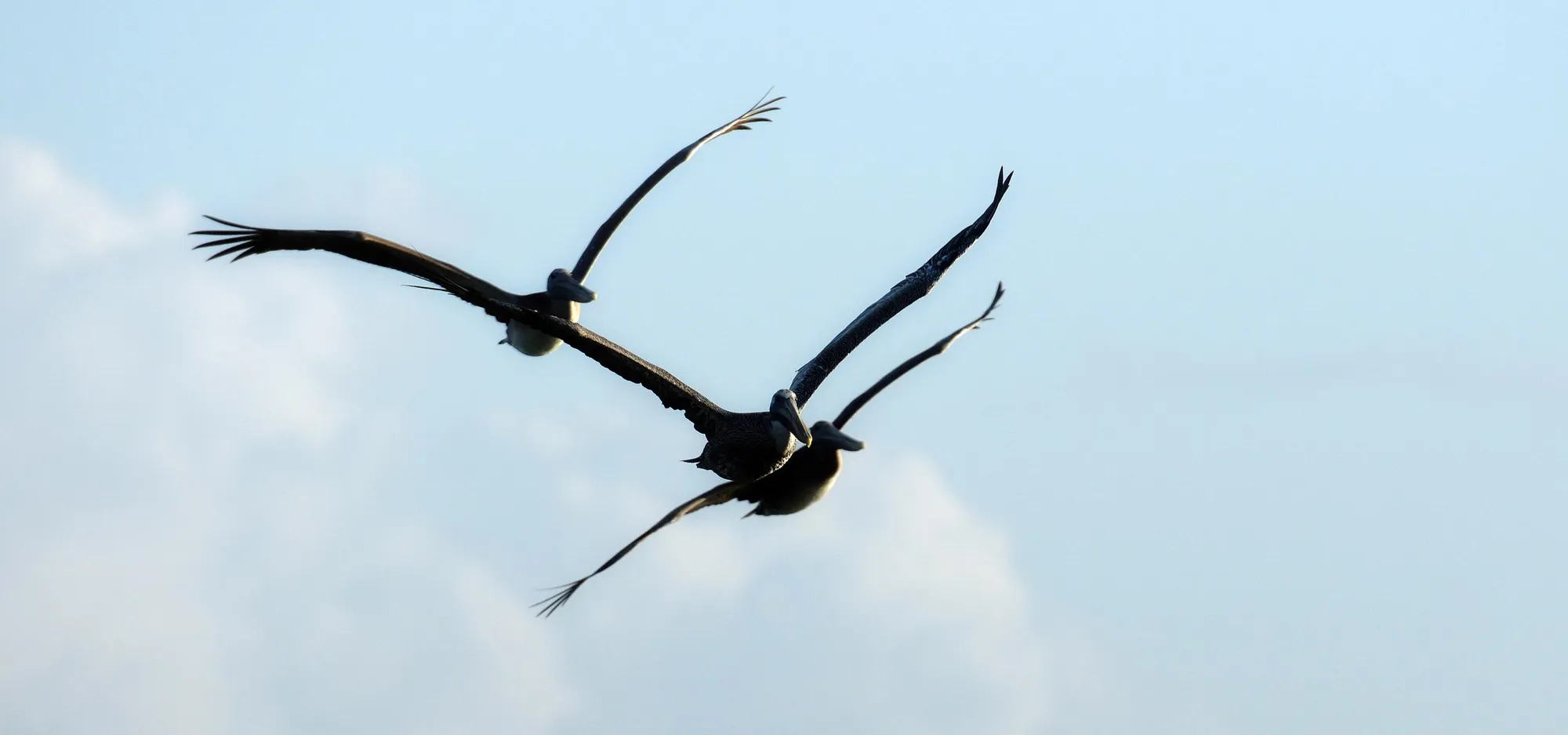 Property Slideshow image 32 of 34 | 9833 sw isabelline dr, Port Saint Lucie, FL, 34987