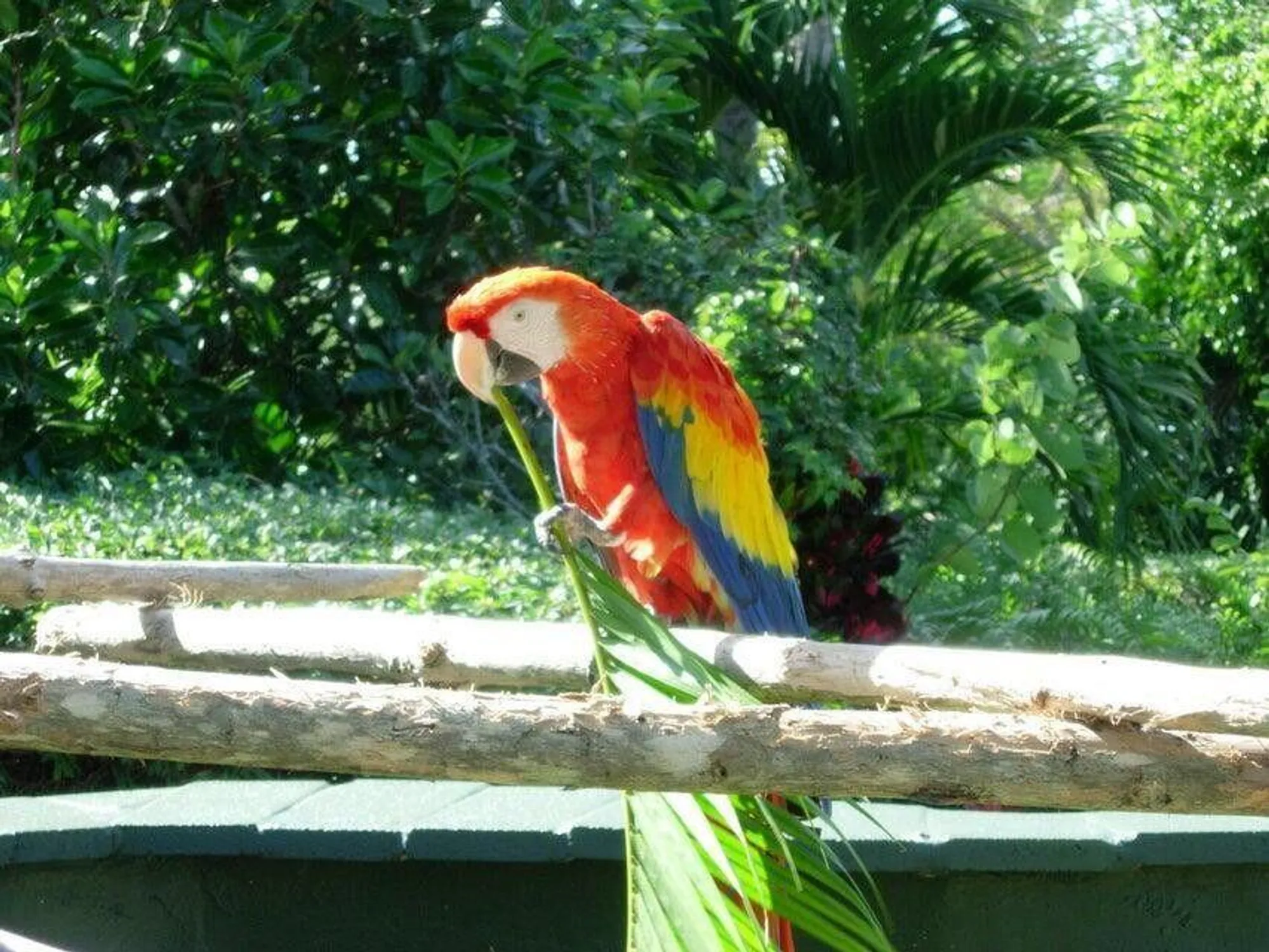 Property Slideshow image 78 of 78 | 1251 sugar sands blvd apt 125, Riviera Beach, FL, 33404