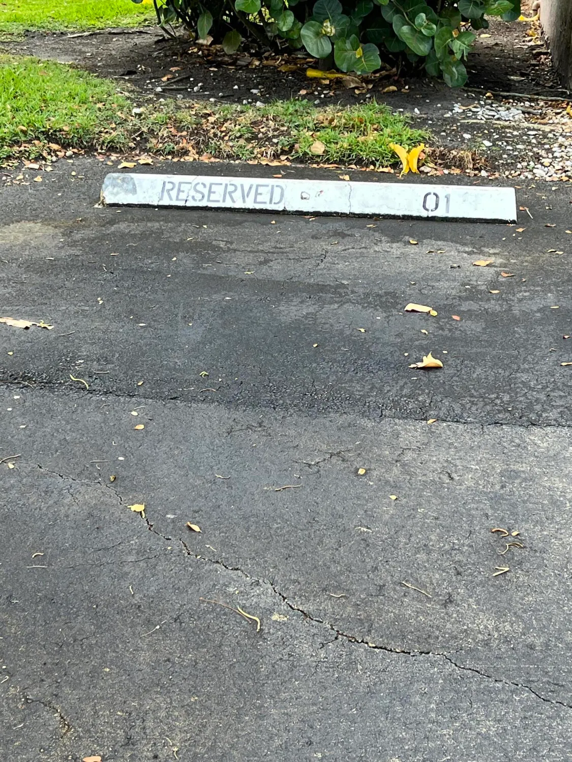 Property Slideshow image 40 of 41 | 7340 amberly ln 205, Delray Beach, FL, 33446