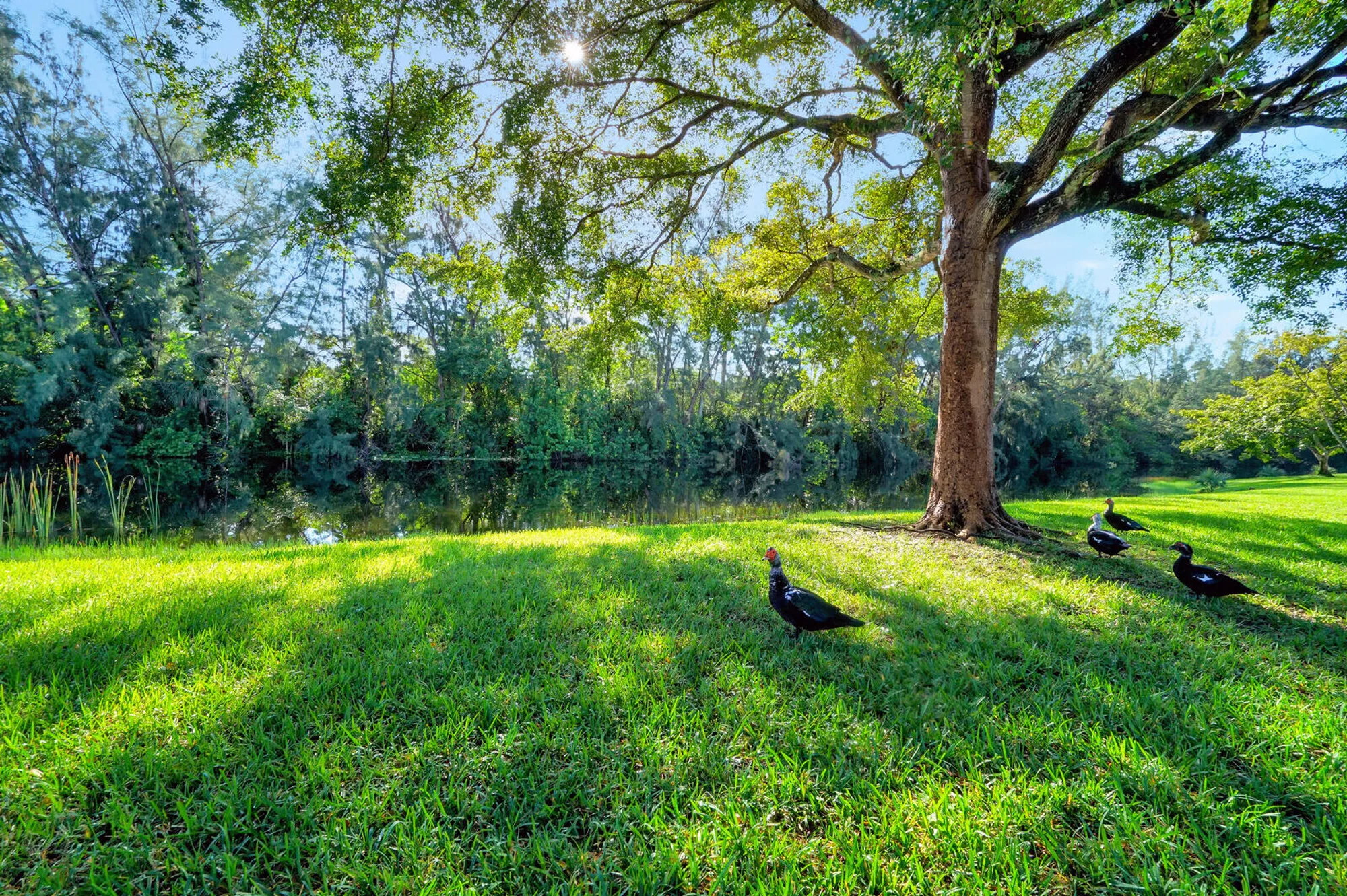 Property Slideshow image 26 of 26 | 130 lake meryl dr apt 226, West Palm Beach, FL, 33411