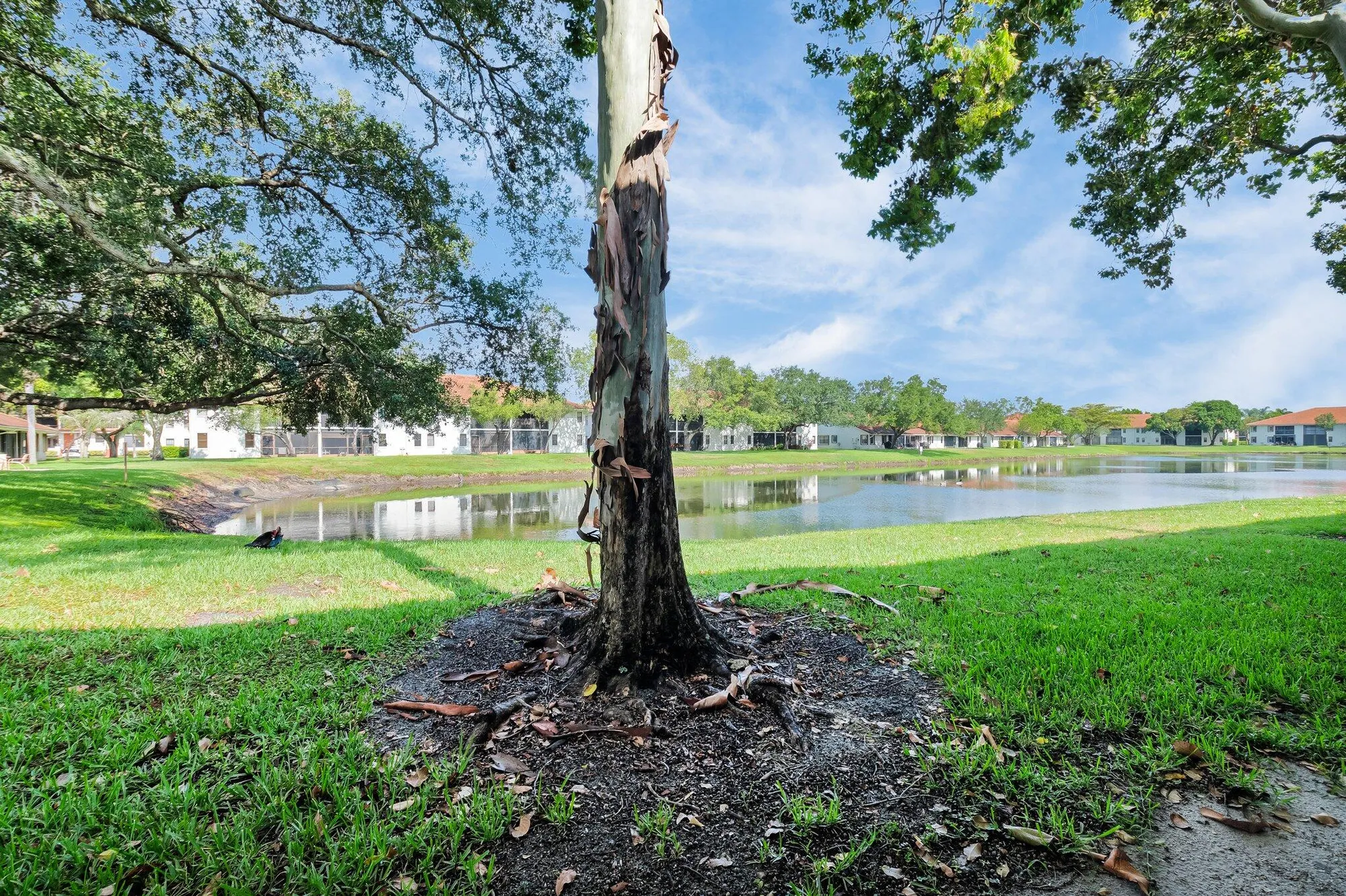 Property Slideshow image 31 of 49 | 9628 pavarotti ter apt 101, Boynton Beach, FL, 33437