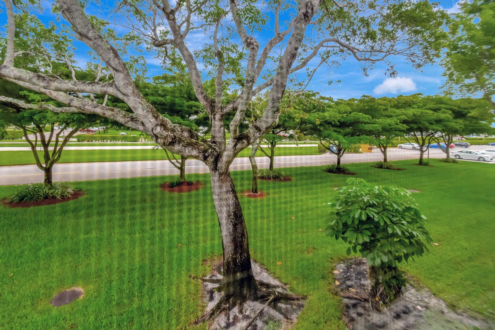 Property Slideshow image 42 of 91 | 393 fanshaw j, Boca Raton, FL, 33434