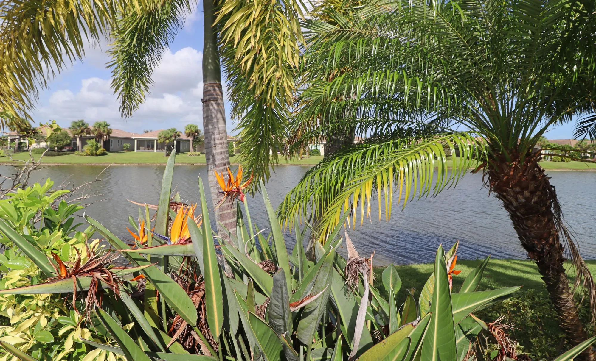 Property Slideshow image 34 of 44 | 18006 sw cosenza way, Port Saint Lucie, FL, 34986