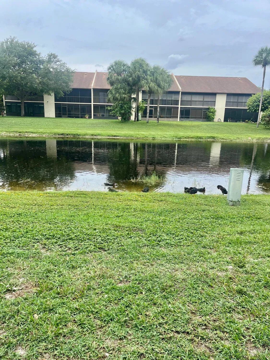 Property Slideshow image 1 of 22 | 3529 englewood dr 313, Lake Worth, FL, 33467