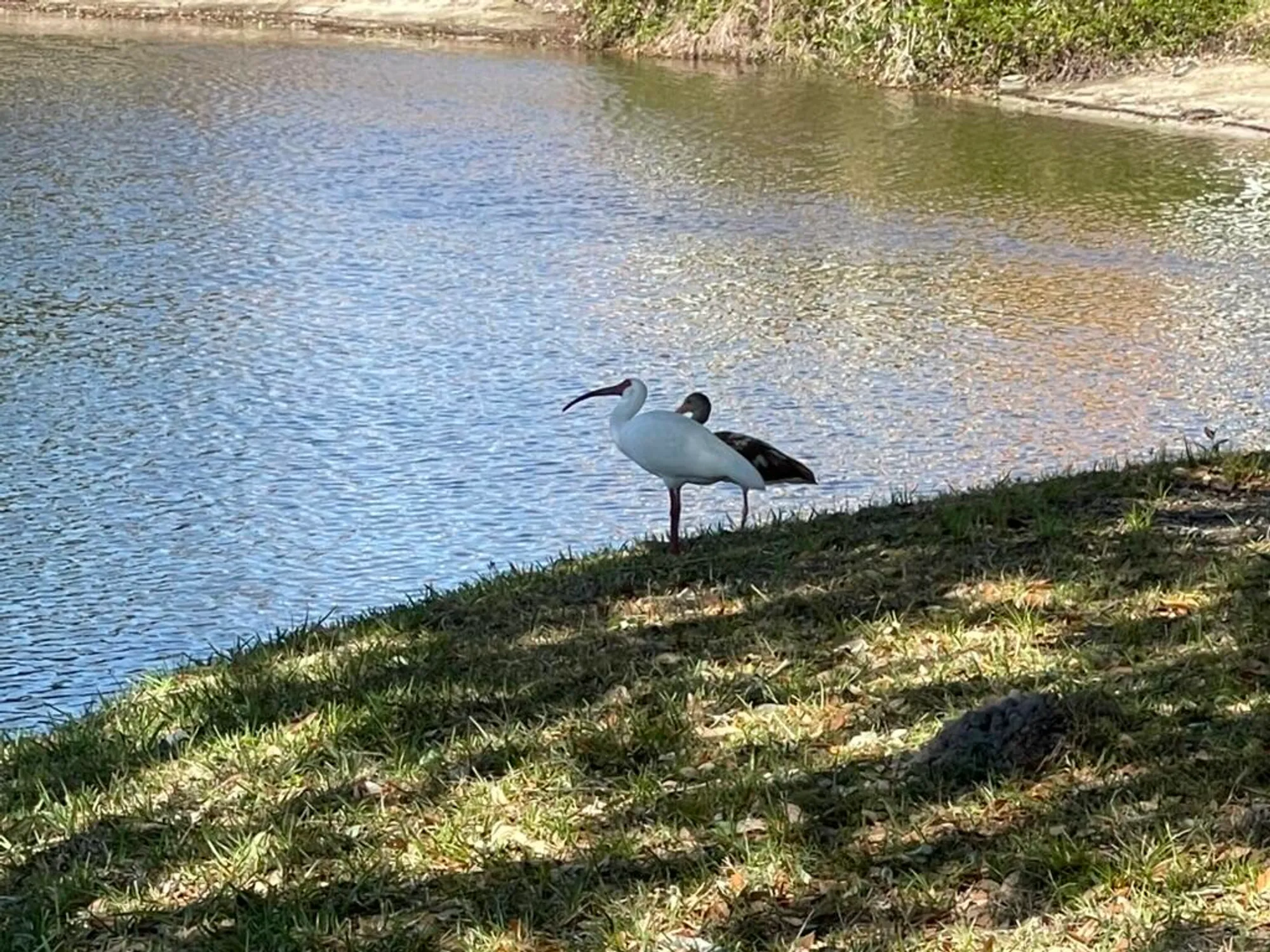 Property Slideshow image 48 of 53 | 1225 nw 21st st # 15-1505, Stuart, FL, 34994