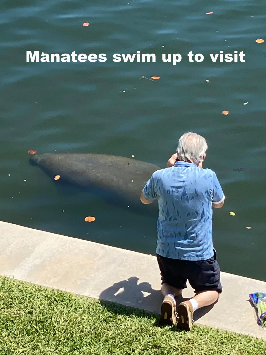 Property Slideshow image 27 of 29 | 52 yacht club dr apt 303, North Palm Beach, FL, 33408