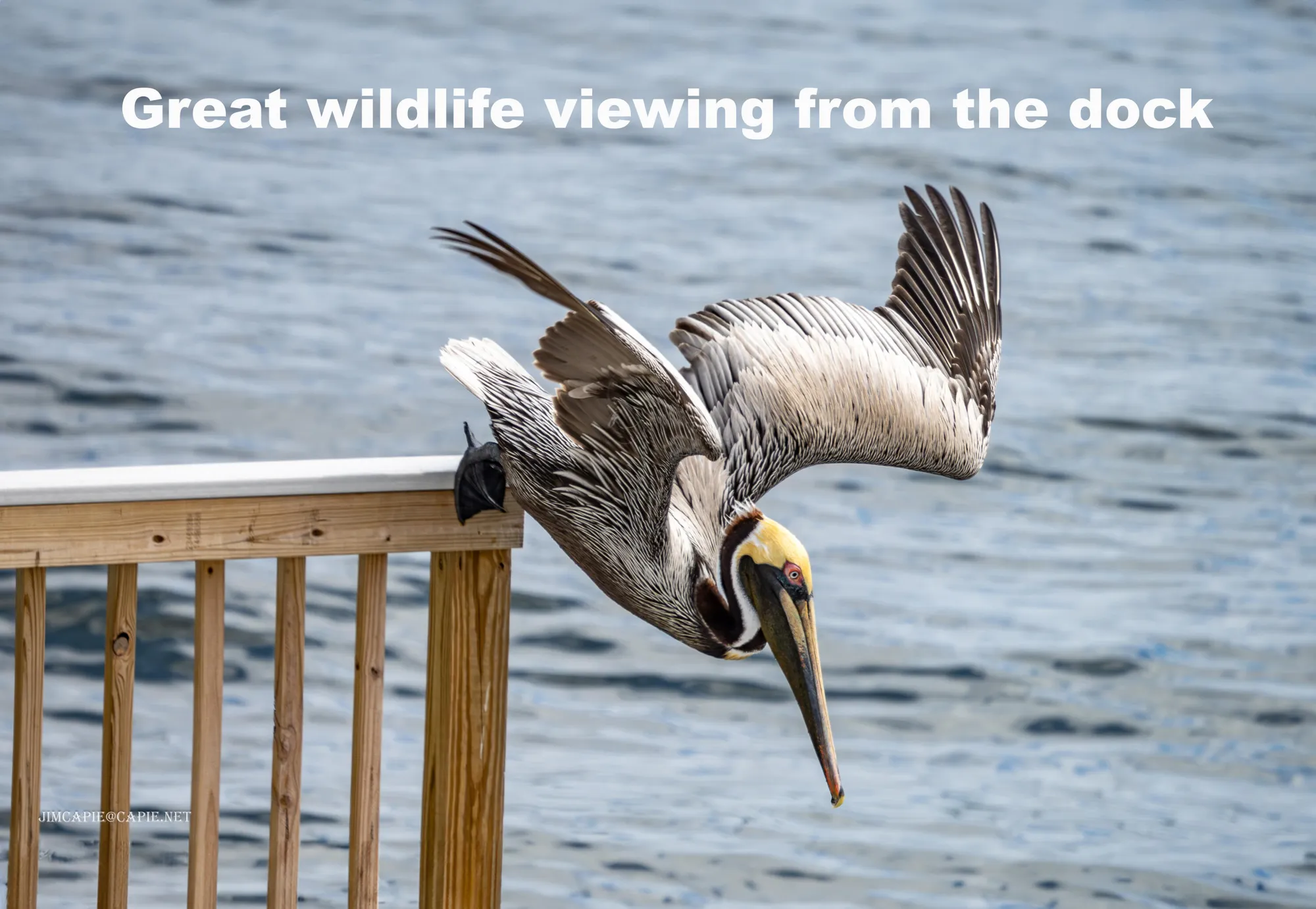 Property Slideshow image 20 of 29 | 52 yacht club dr apt 303, North Palm Beach, FL, 33408