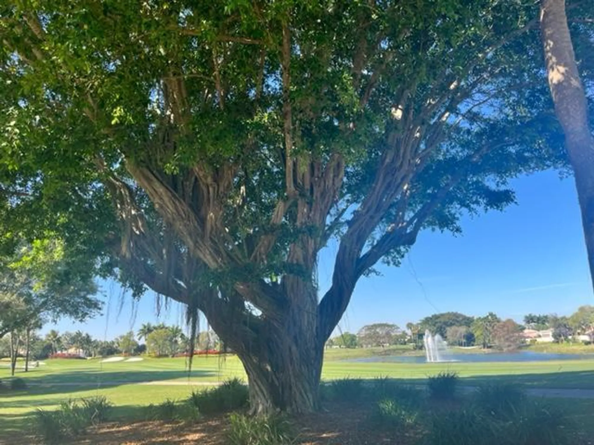 Property Slideshow image 63 of 67 | 15354 strathearn dr 12604, Delray Beach, FL, 33446