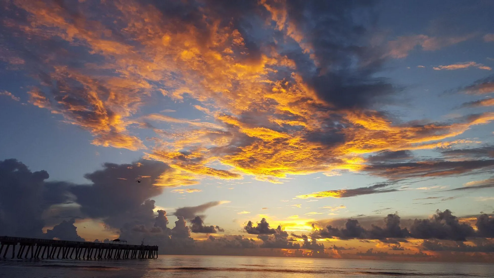 Property Slideshow image 29 of 29 | 2615 garden dr n apt 308, Lake Worth, FL, 33461