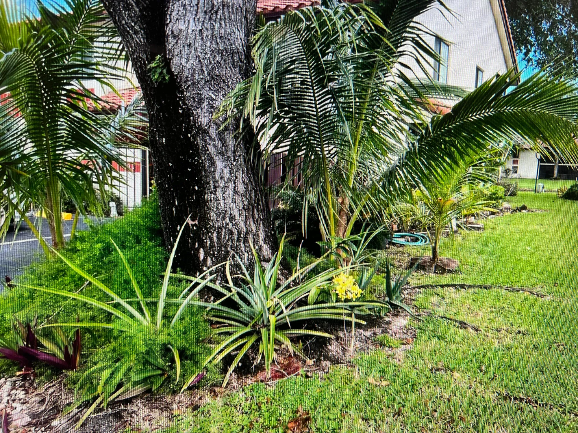 Property Slideshow image 19 of 37 | 10915 palm lake ave 102, Boynton Beach, FL, 33437