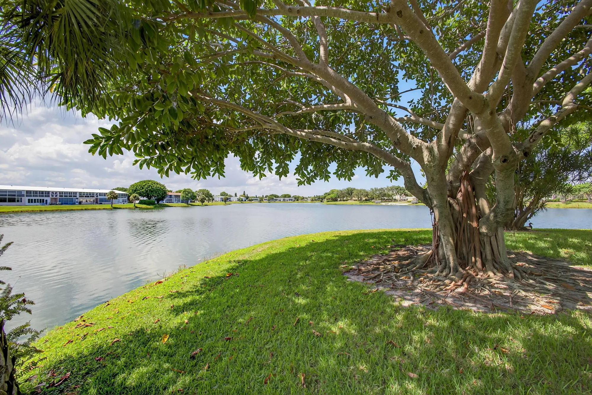 Property Slideshow image 1 of 43 | 445 dover c, West Palm Beach, FL, 33417