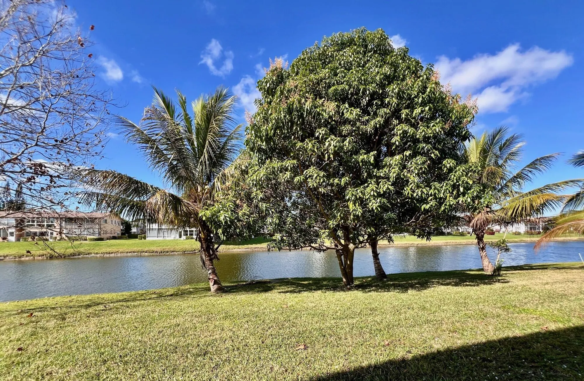 Property Slideshow image 1 of 18 | 240 bedford j, West Palm Beach, FL, 33417