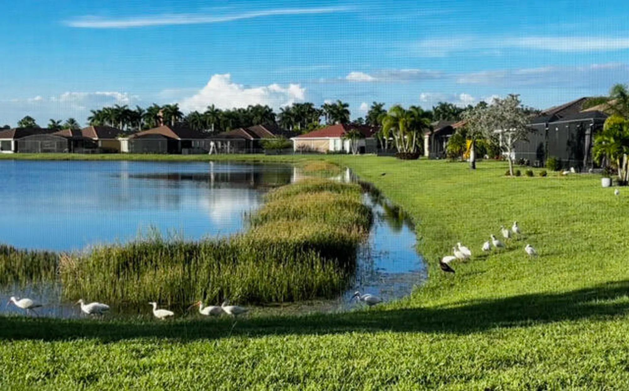 Property Slideshow image 2 of 59 | 10288 sw yellowwood ave, Port Saint Lucie, FL, 34987
