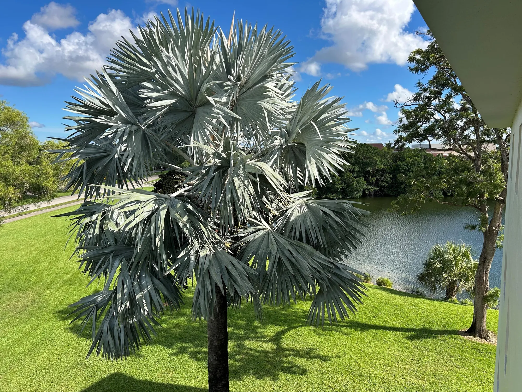 Property Slideshow image 21 of 33 | 4068 ainslie d # 406, Boca Raton, FL, 33434