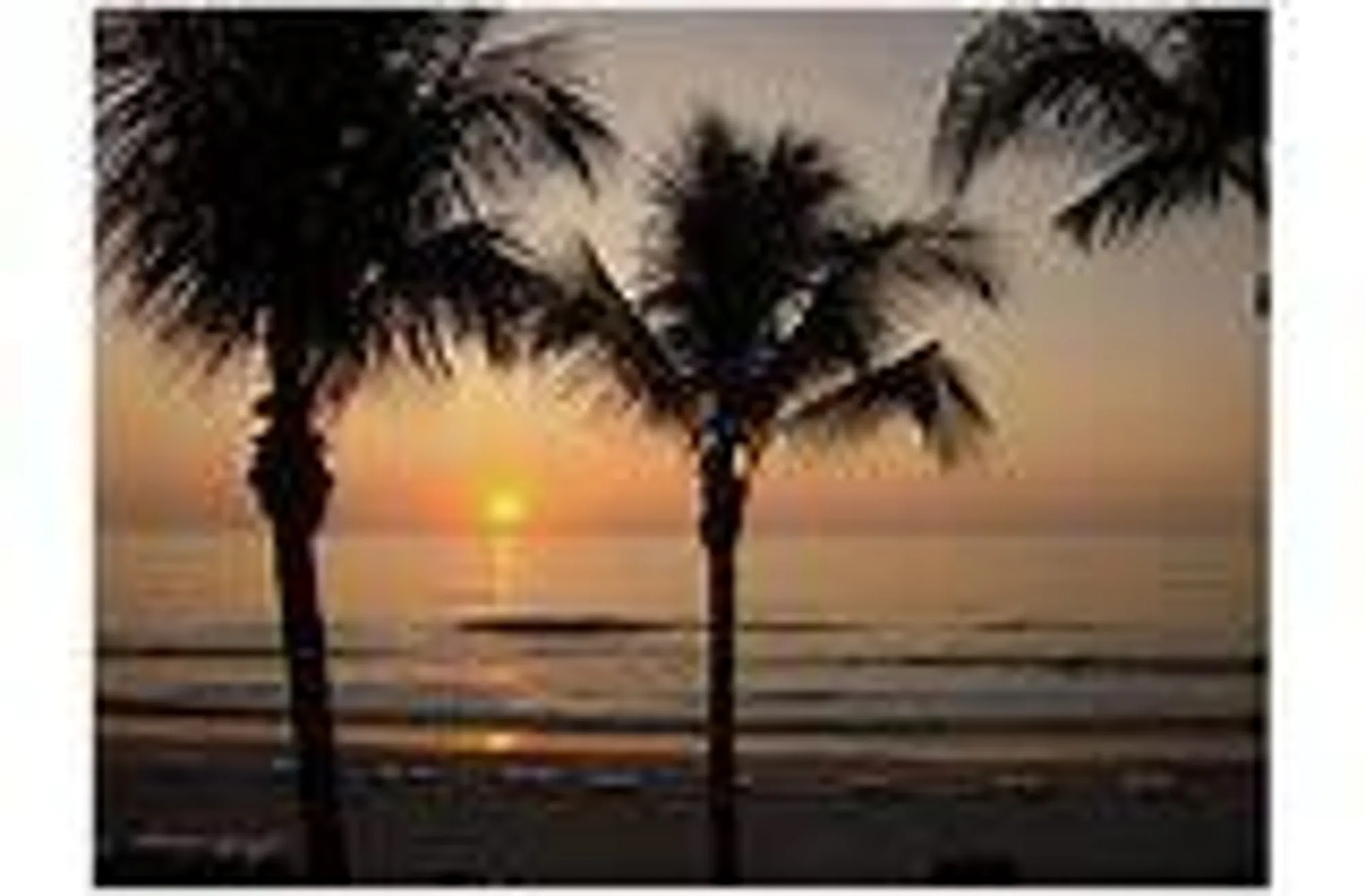 Property Slideshow image 78 of 79 | 326 camden, West Palm Beach, FL, 33417