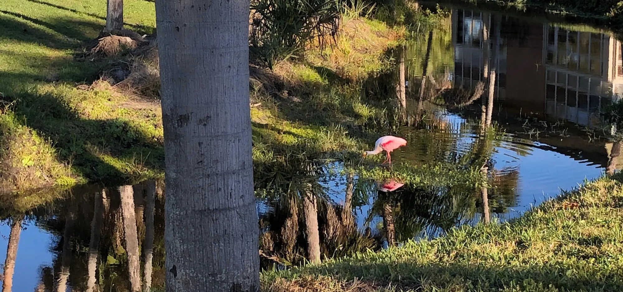 Property Slideshow image 4 of 33 | 44 vista gardens trl 106, Vero Beach, FL, 32962