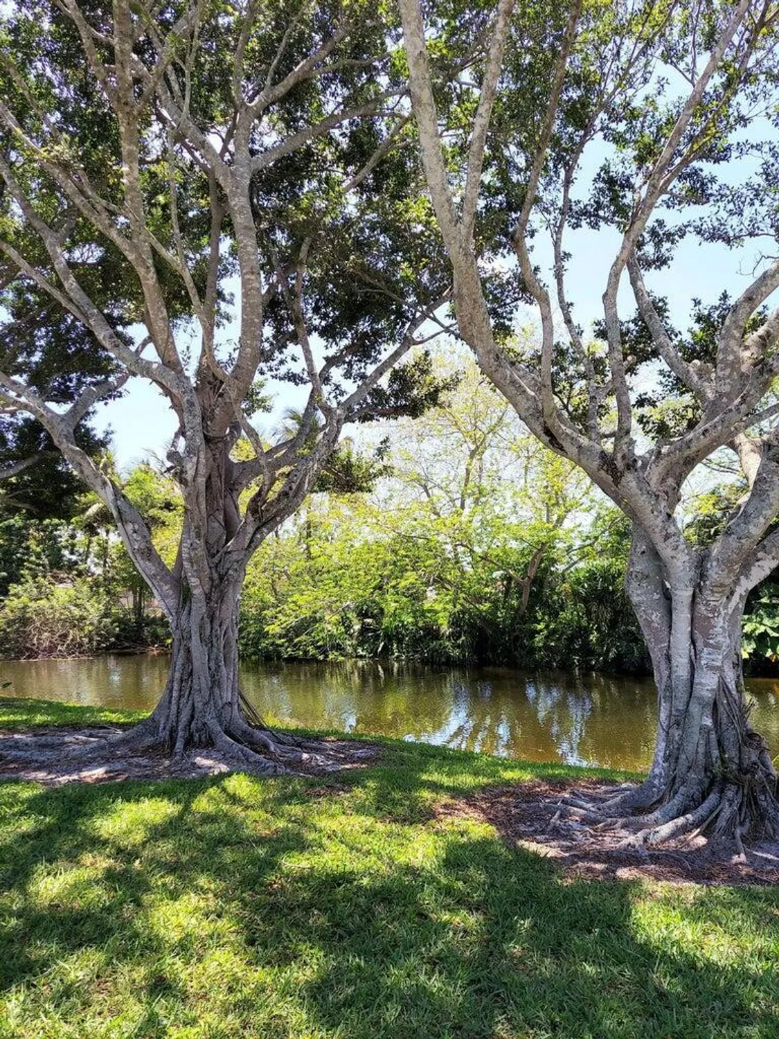 Property Slideshow image 3 of 27 | 12019 w greenway dr apt 203, Royal Palm Beach, FL, 33411