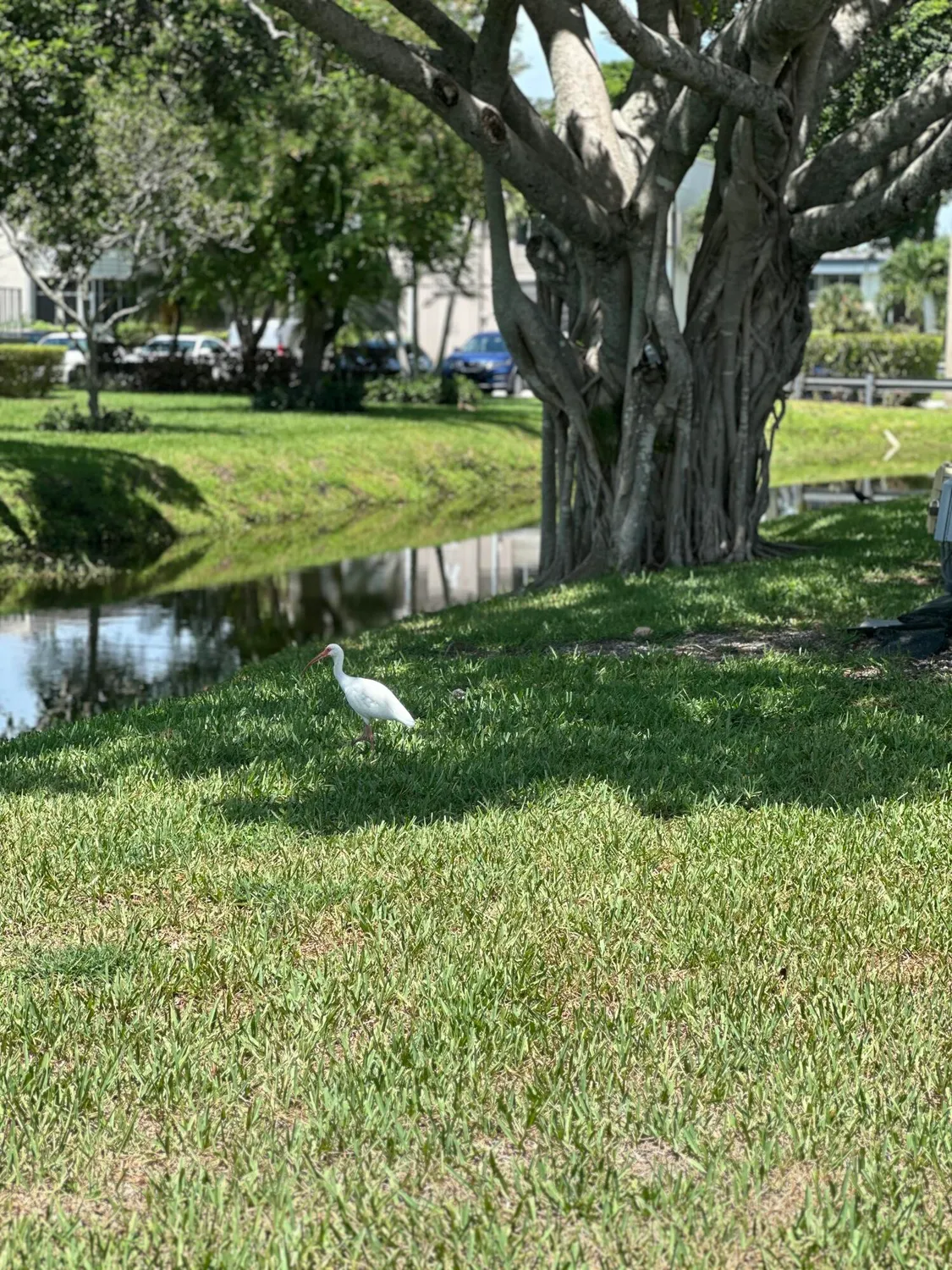 Property Slideshow image 32 of 36 | 750 burgundy p p, Delray Beach, FL, 33484