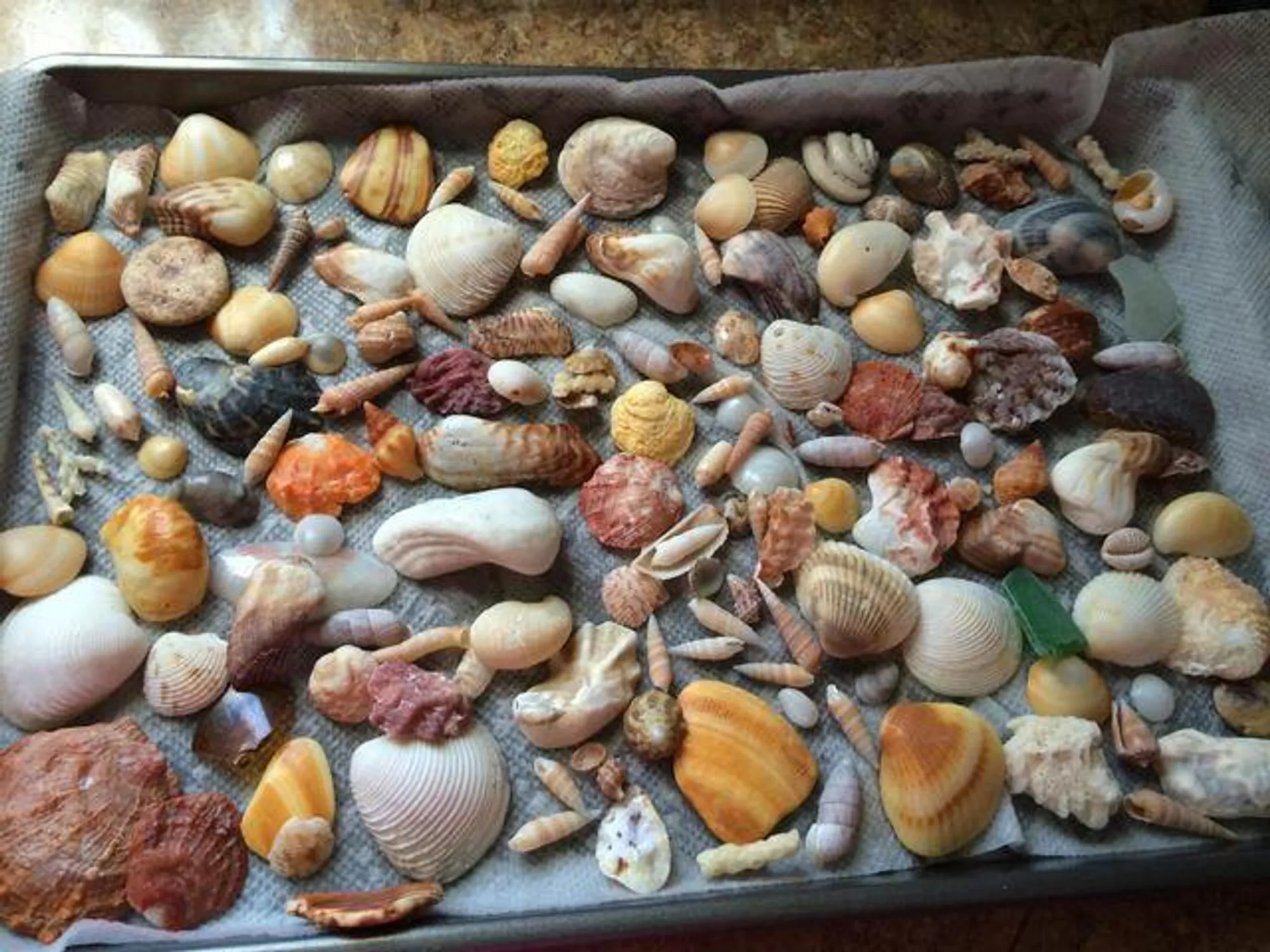 Property Slideshow image 58 of 61 | 530 horizons 205, Boynton Beach, FL, 33435