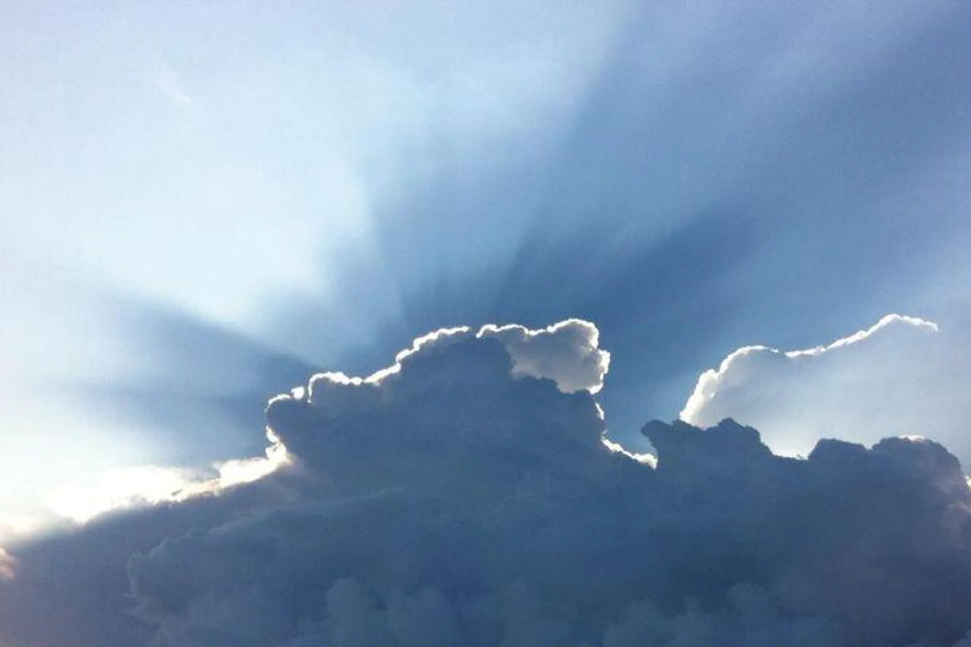 Property Slideshow image 59 of 61 | 530 horizons 205, Boynton Beach, FL, 33435