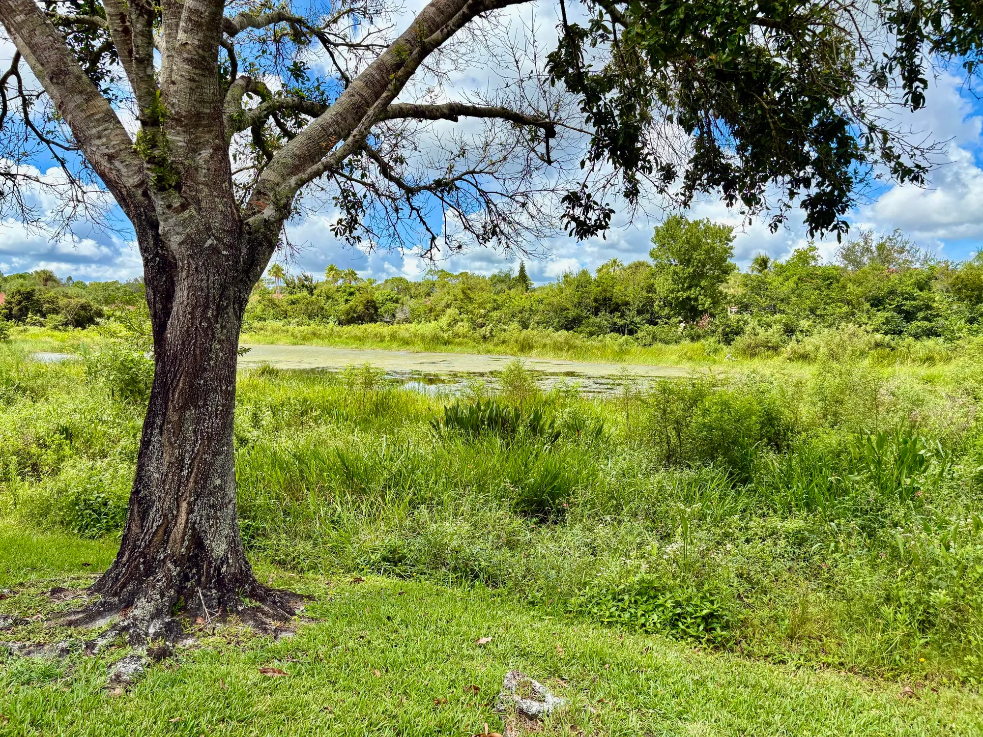 Property Slideshow image 27 of 34 | 1468 sw greens pointe way, Palm City, FL, 34990