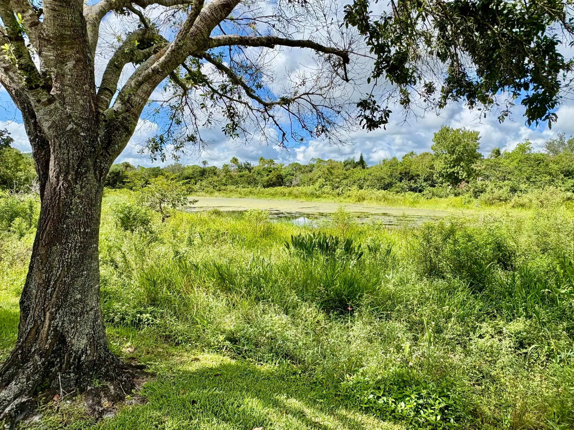 Property Slideshow image 28 of 34 | 1468 sw greens pointe way, Palm City, FL, 34990