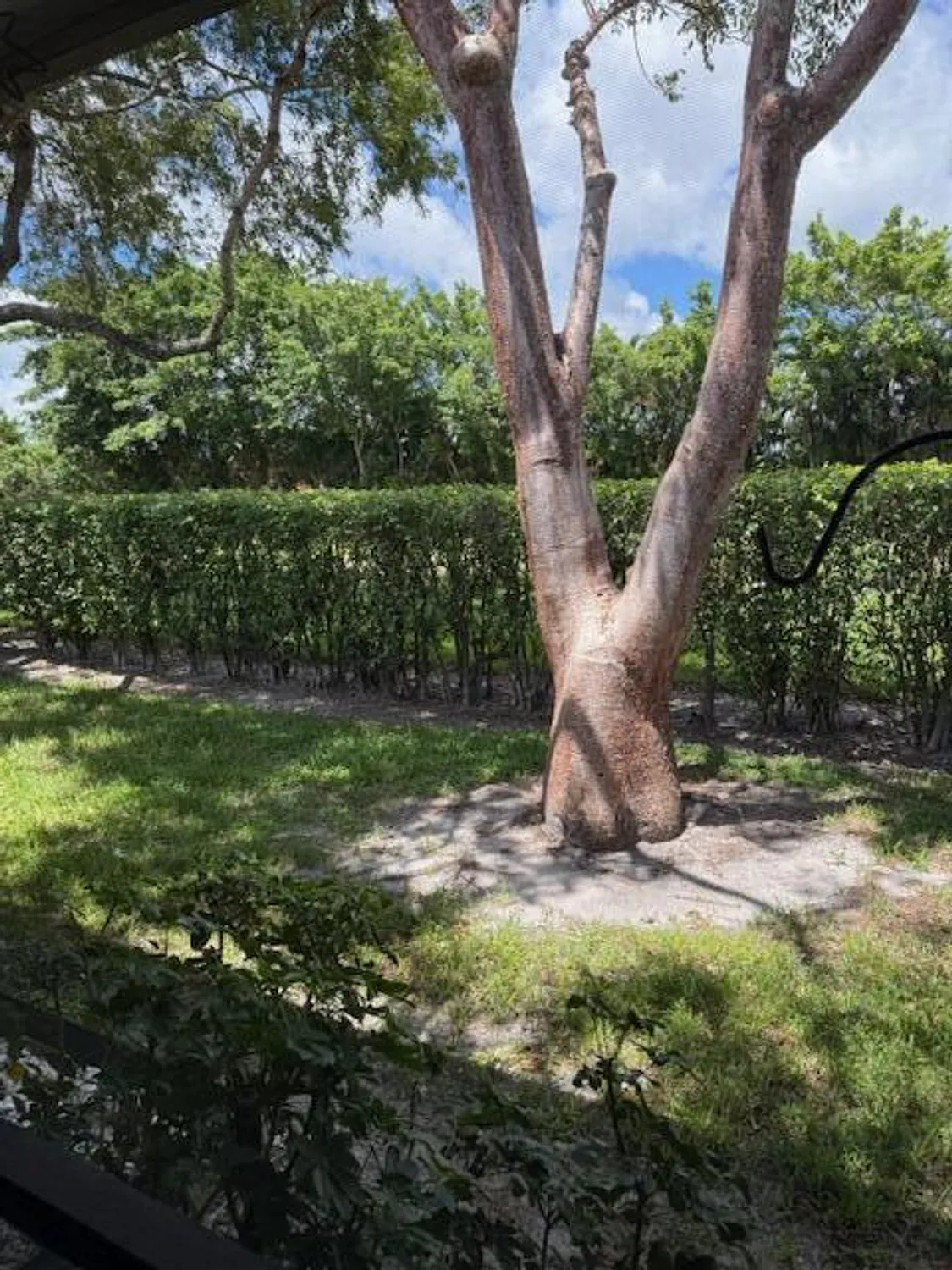 Property Slideshow image 17 of 23 | 8025 whispering palm dr, Boca Raton, FL, 33496