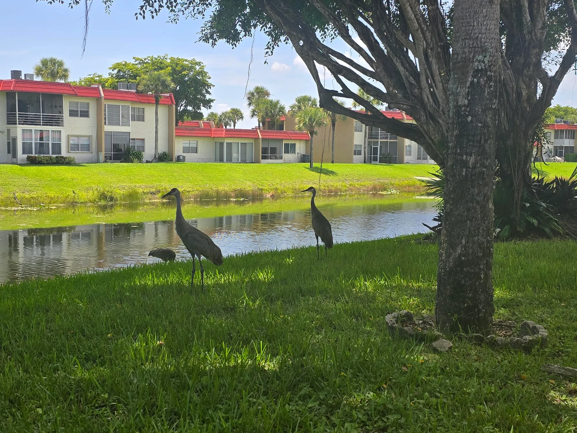 Property Slideshow image 21 of 21 | 102 lake anne dr, West Palm Beach, FL, 33411