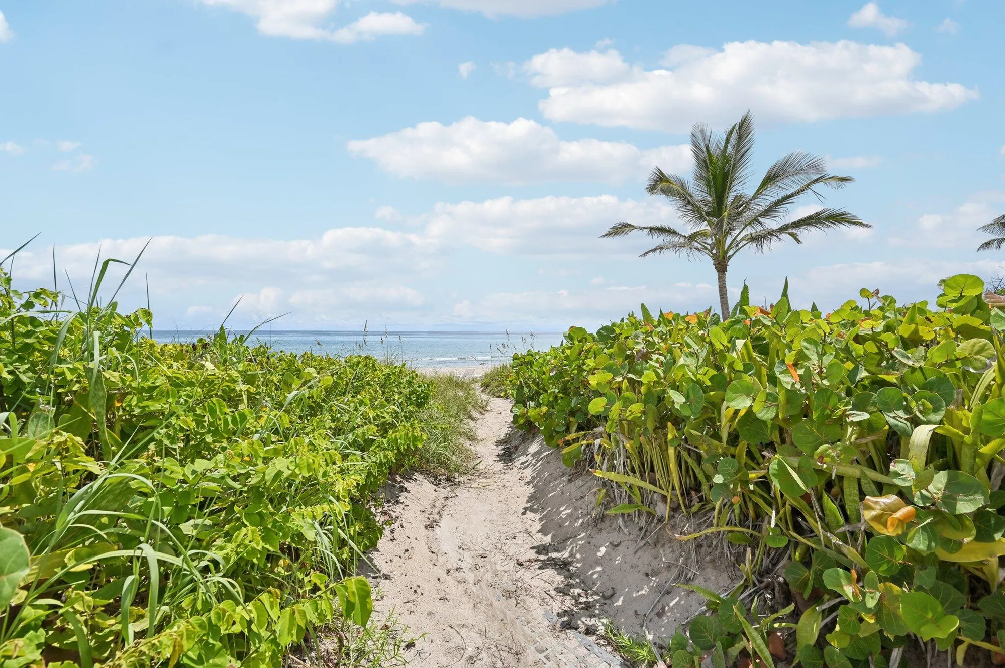 Property Slideshow image 45 of 58 | 3224 s ocean blvd 110b, Highland Beach, FL, 33487