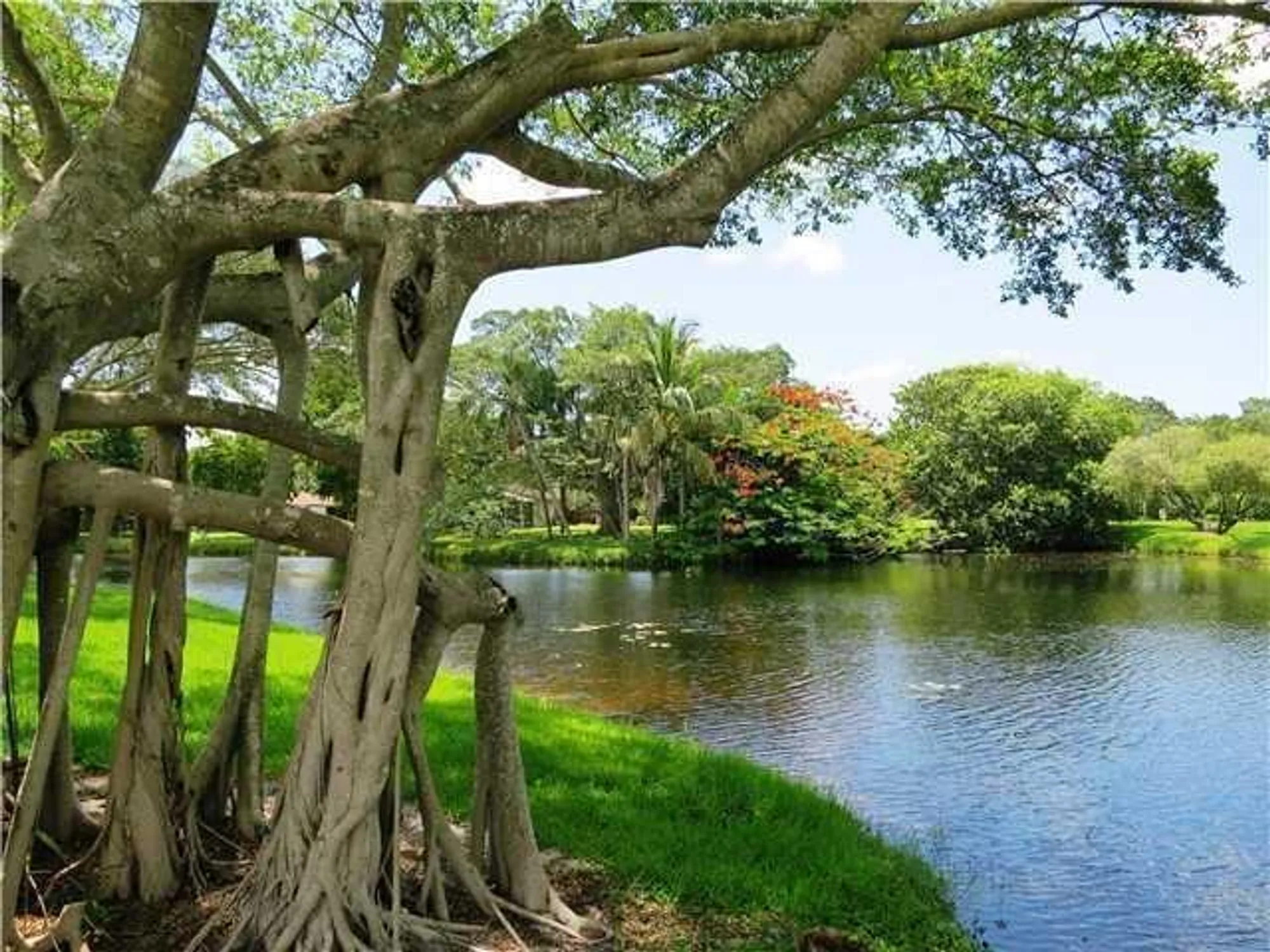 Property Slideshow image 51 of 67 | 10059 laurelwood pl, Boynton Beach, FL, 33437
