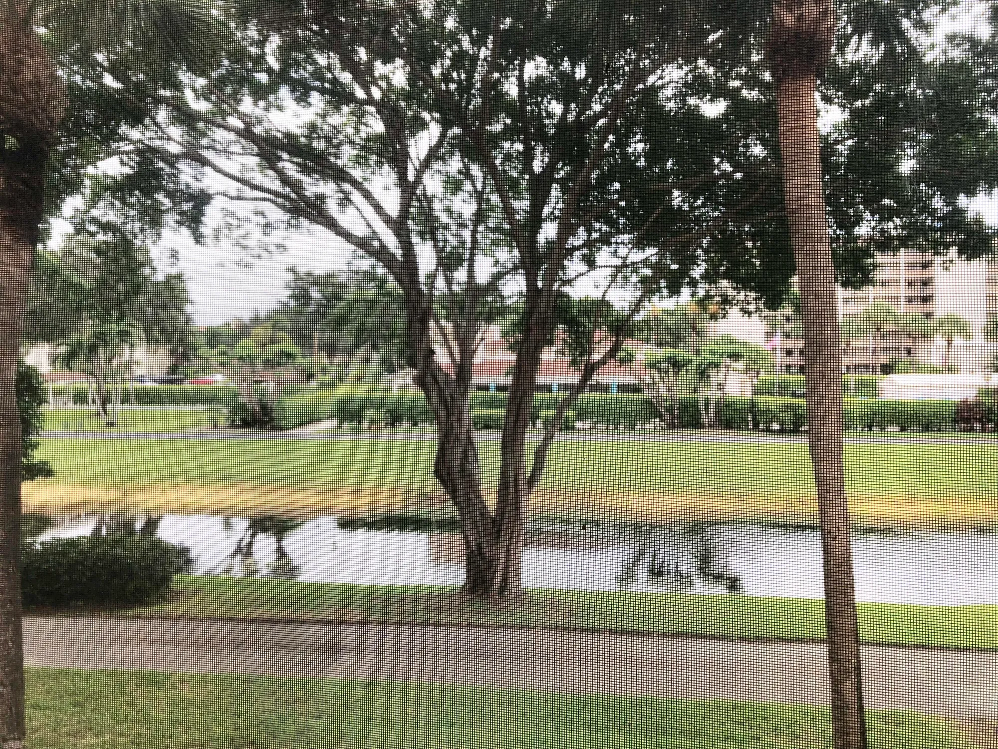 Property Slideshow image 29 of 32 | 14527 bonaire blvd apt 203, Delray Beach, FL, 33446