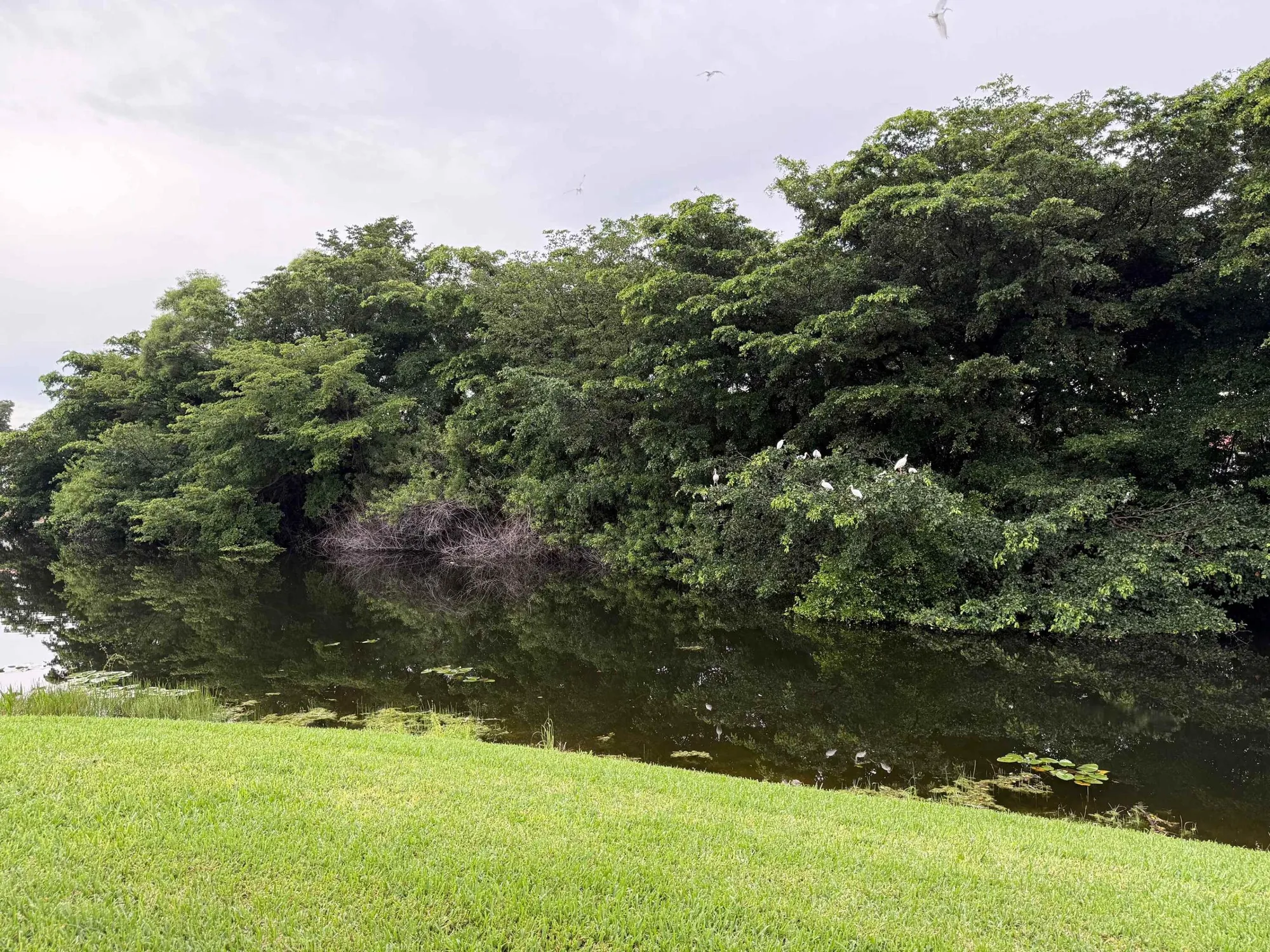 Property Slideshow image 21 of 40 | 198 lake carol dr, West Palm Beach, FL, 33411