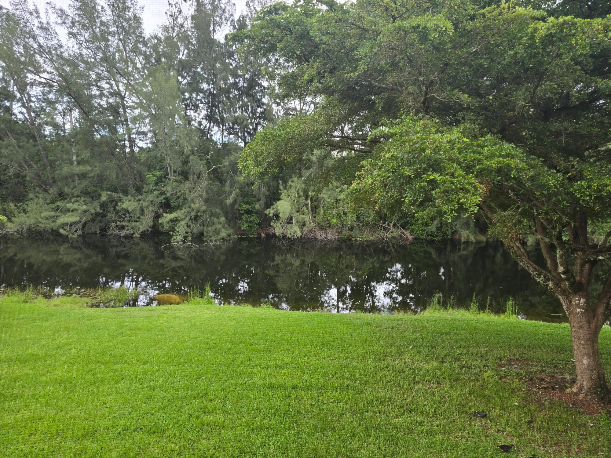 Property Slideshow image 4 of 22 | 140 lake meryl dr apt 233, West Palm Beach, FL, 33411