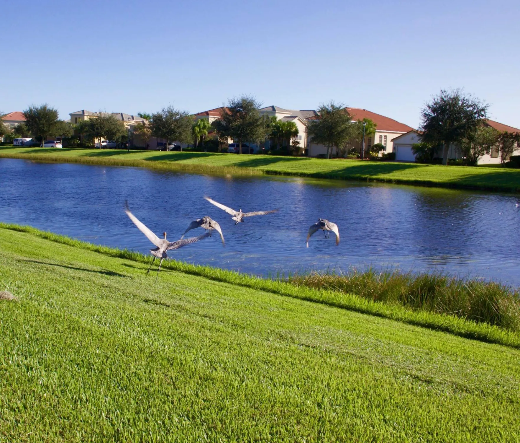 Property Slideshow image 62 of 67 | 11123 sw sunrise lake dr, Port Saint Lucie, FL, 34987