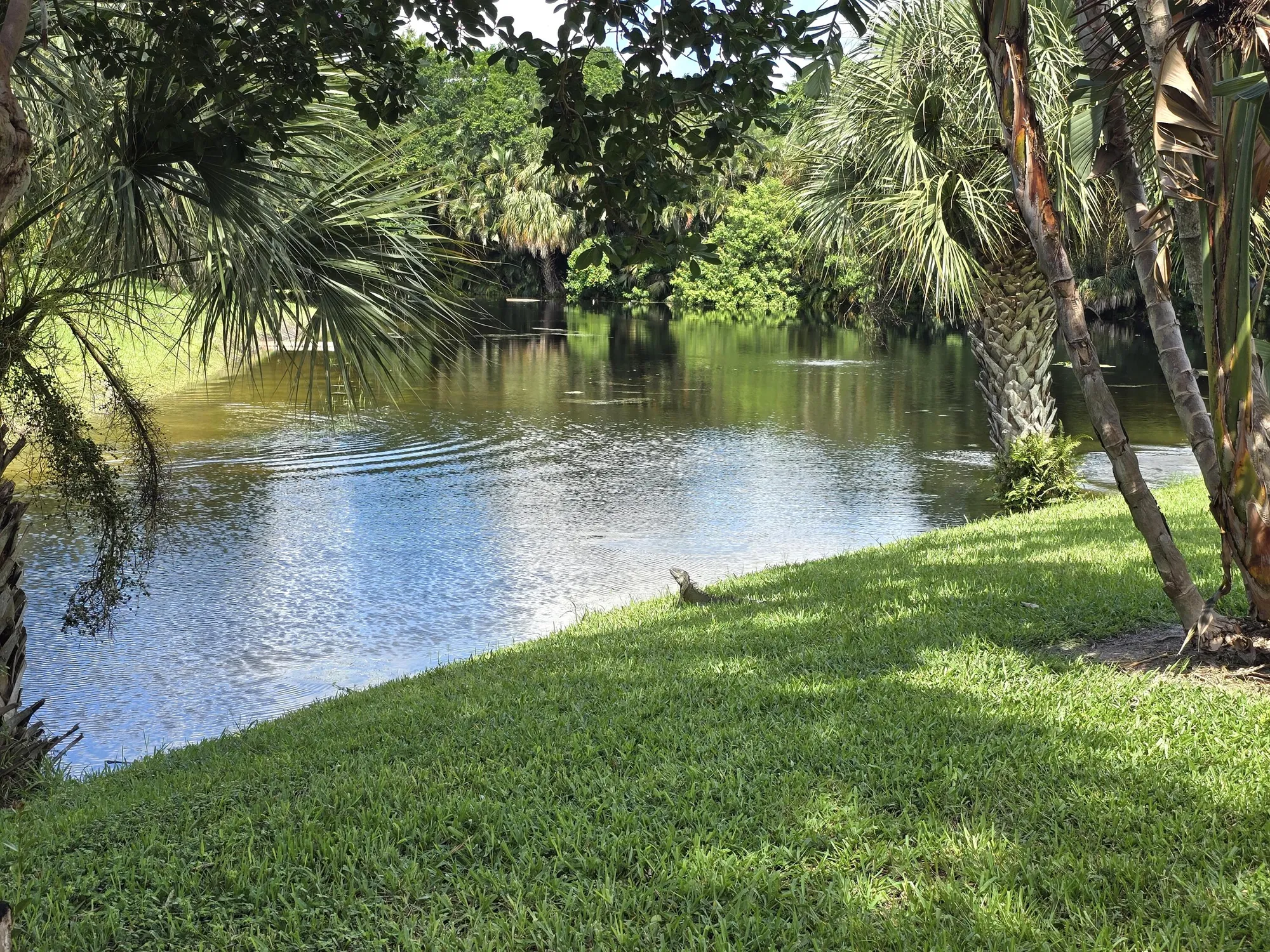 Property Slideshow image 40 of 53 | 10039 hickorywood pl, Boynton Beach, FL, 33437