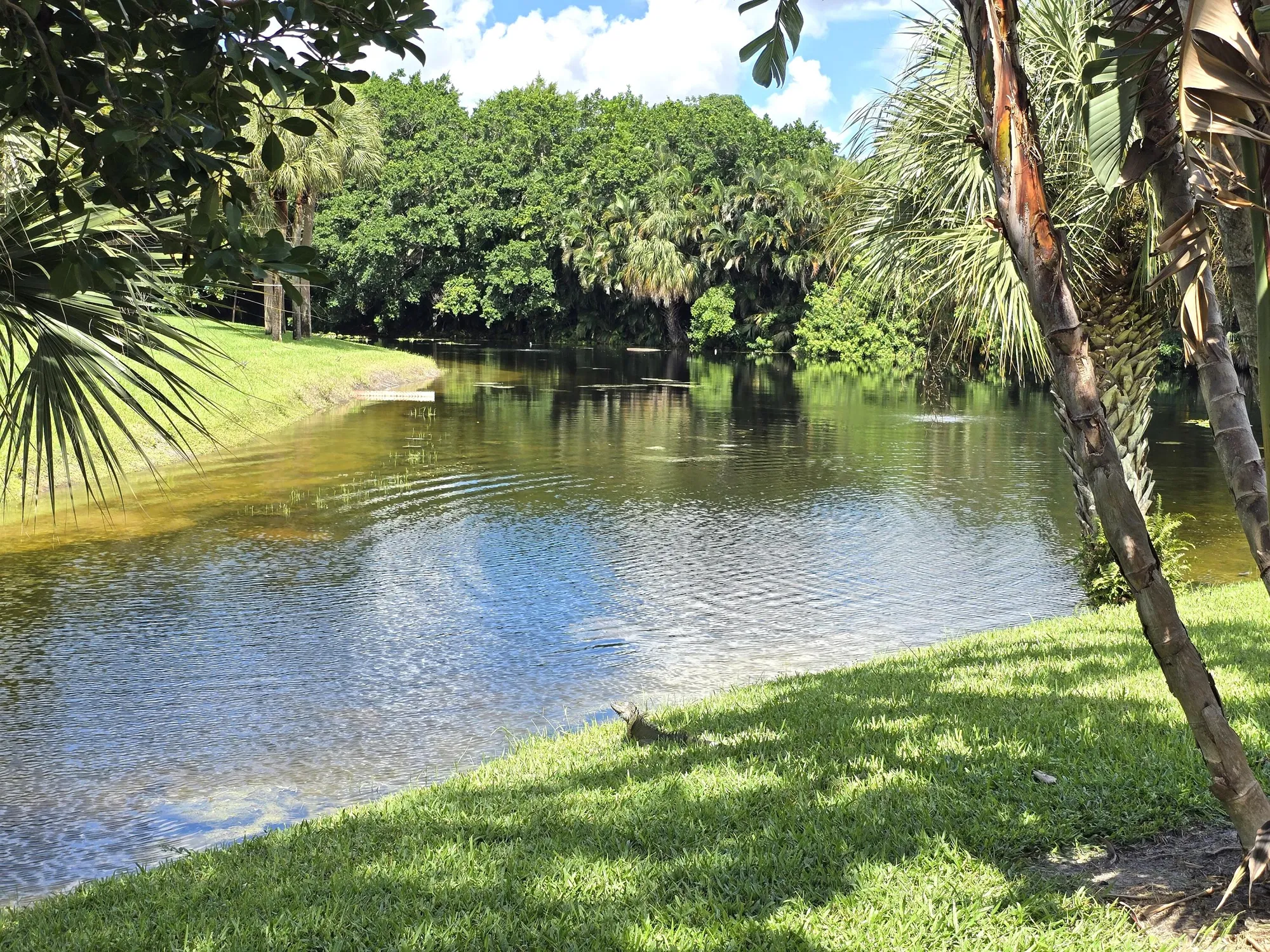 Property Slideshow image 38 of 53 | 10039 hickorywood pl, Boynton Beach, FL, 33437