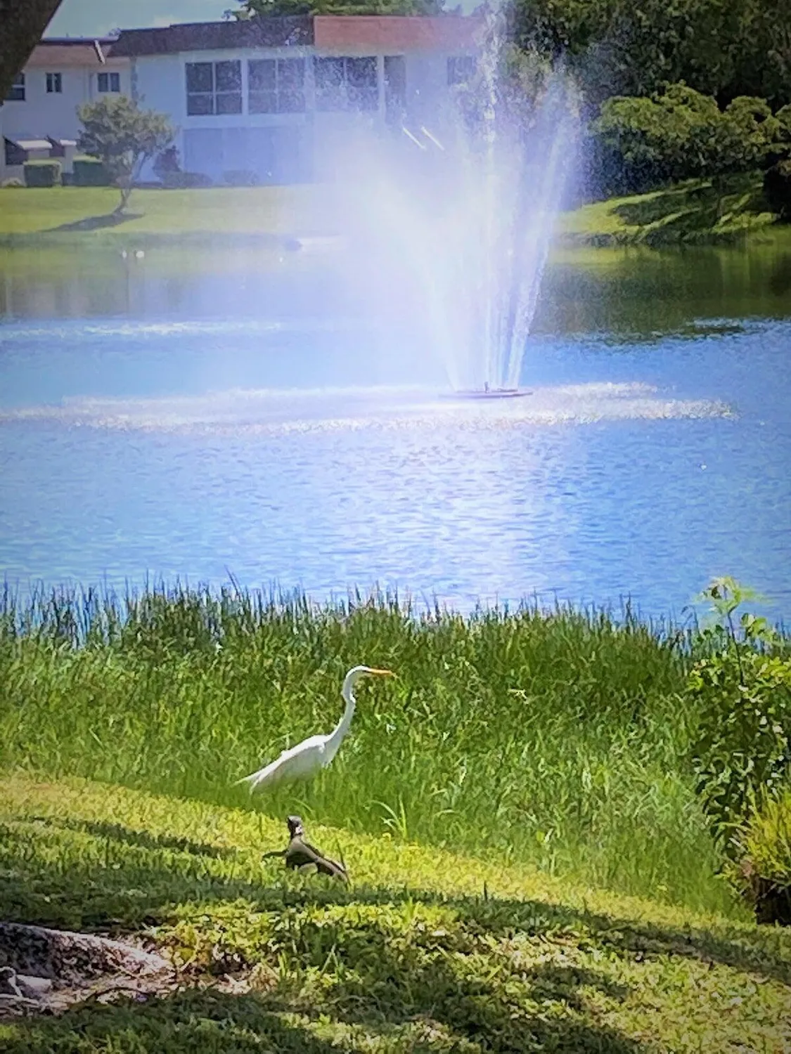 Property Slideshow image 14 of 26 | 208 chatham j # 208, West Palm Beach, FL, 33417